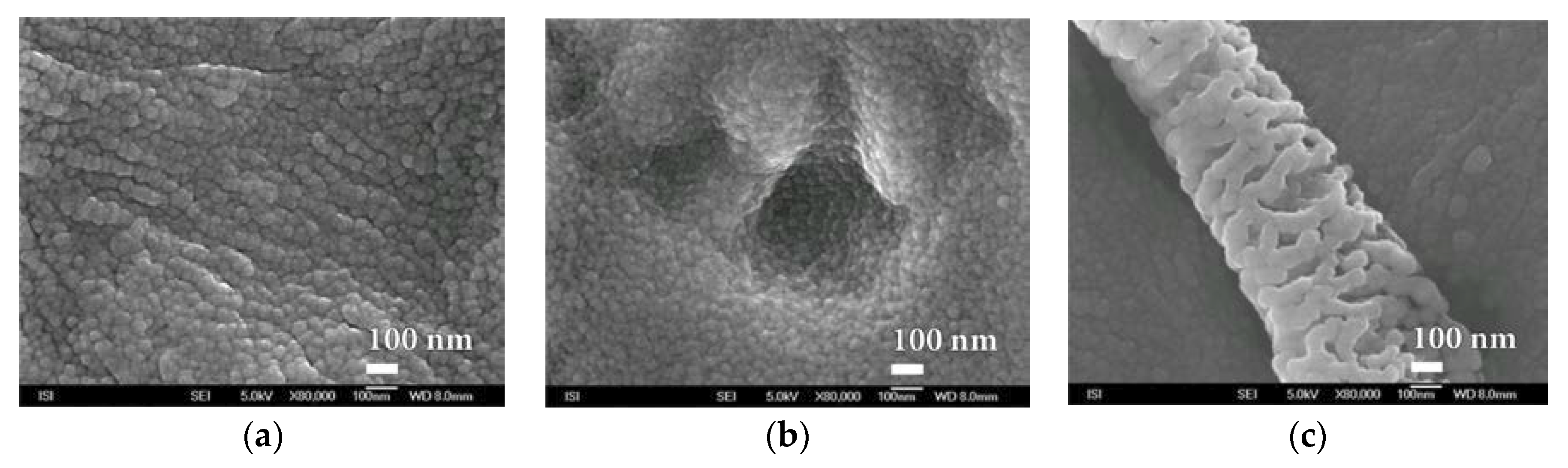 Nanomaterials 08 00679 g018