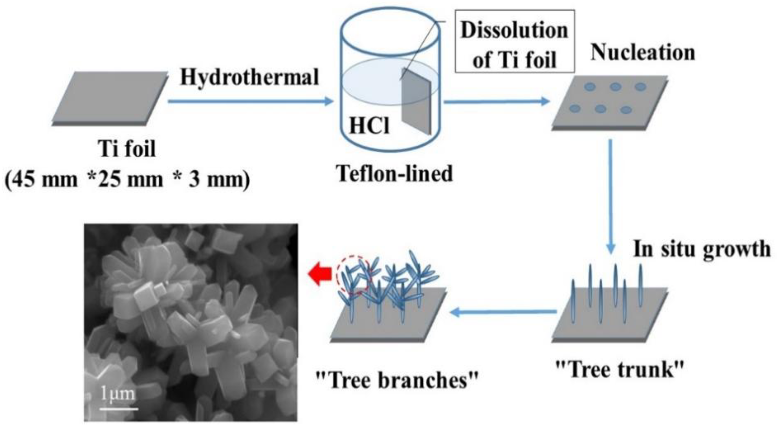 Nanomaterials 08 00683 g001