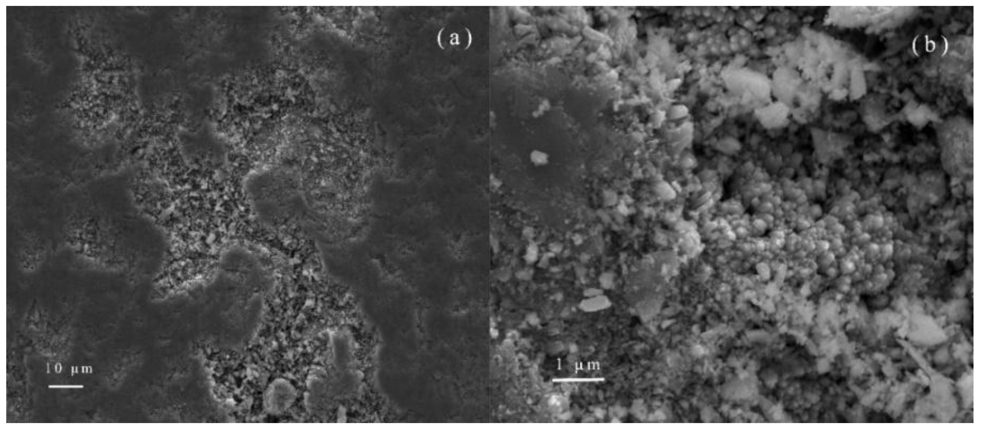 Nanomaterials 08 00683 g010