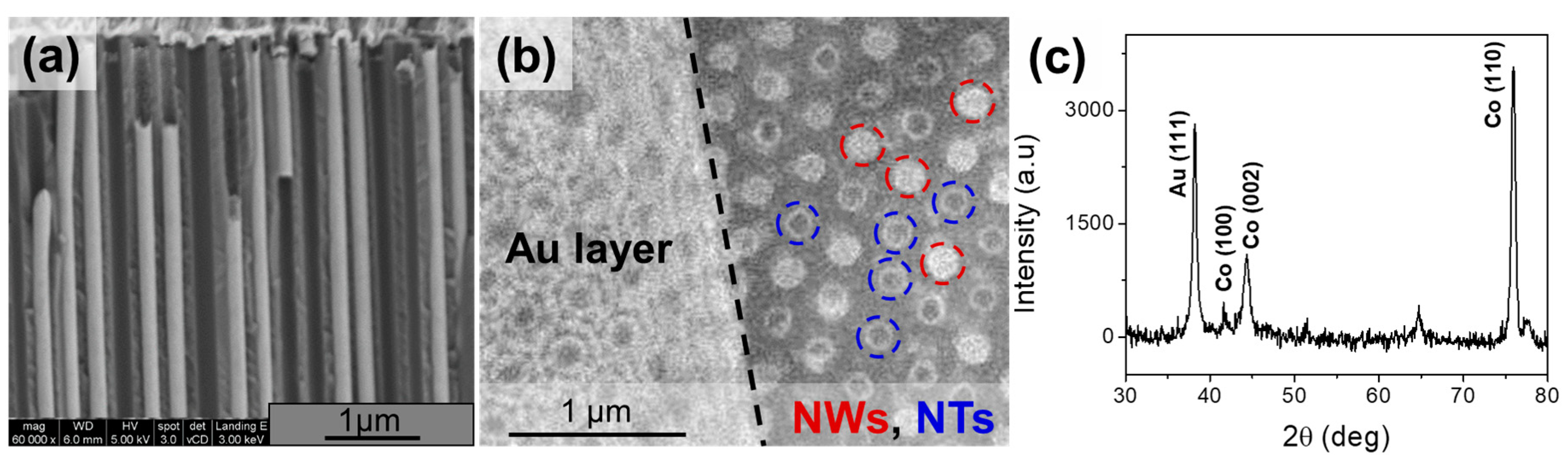 Nanomaterials 08 00692 g002