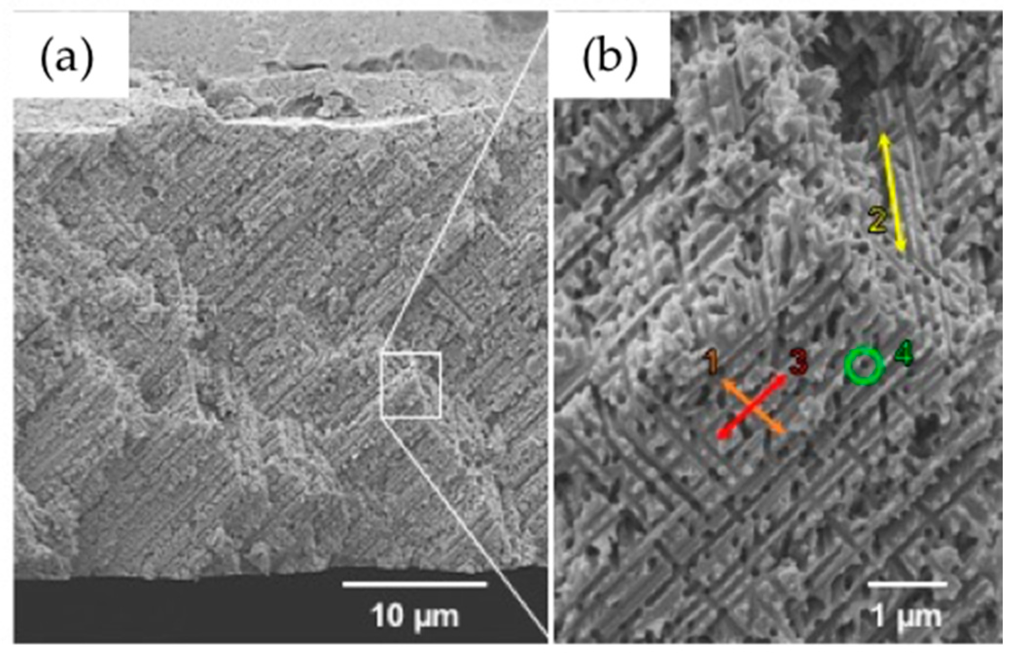 Nanomaterials 08 00693 g002
