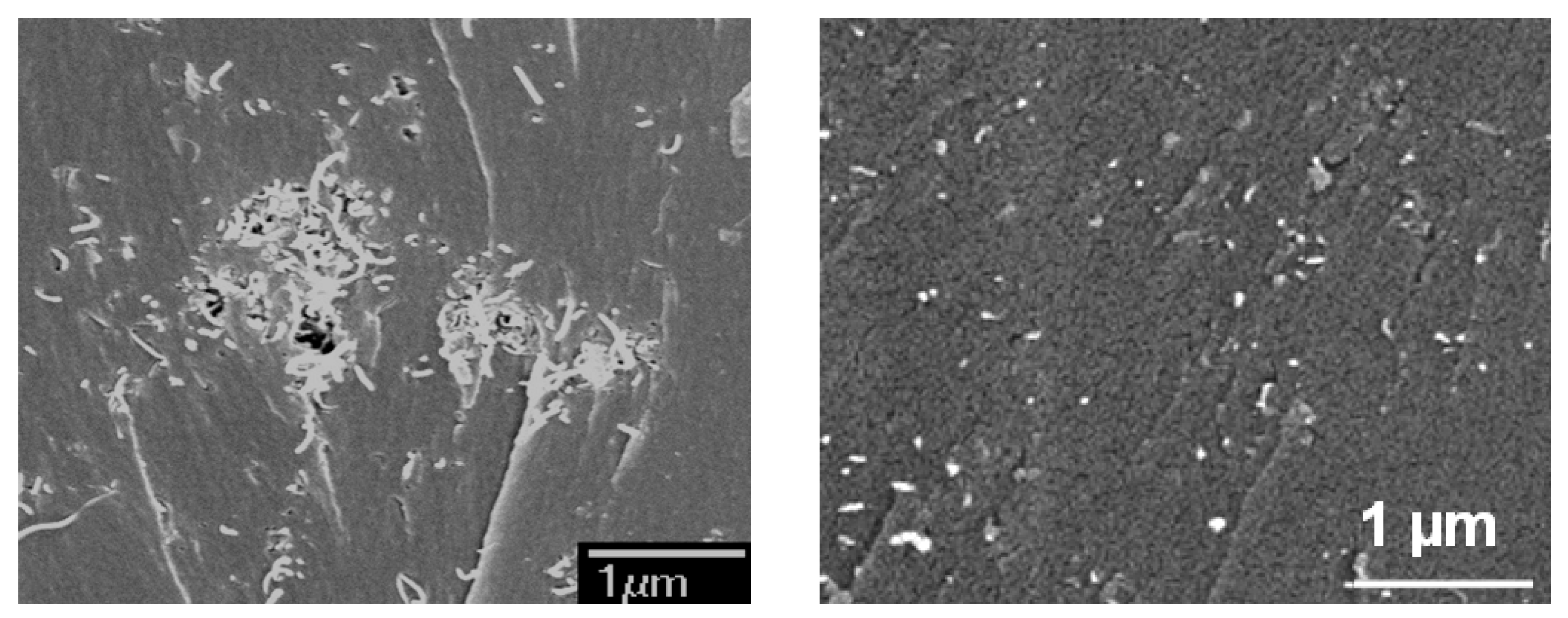 Nanomaterials 08 00696 g013 Nanomaterials 08 00696 g013
