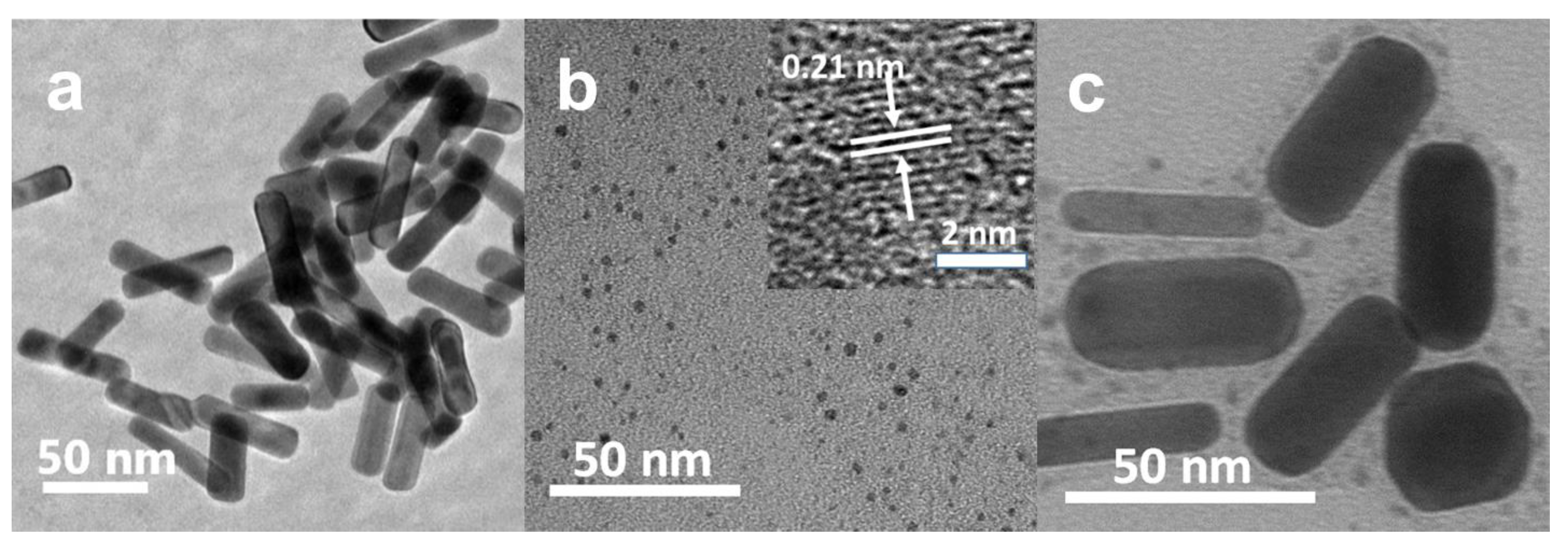 Nanomaterials 08 00706 g001