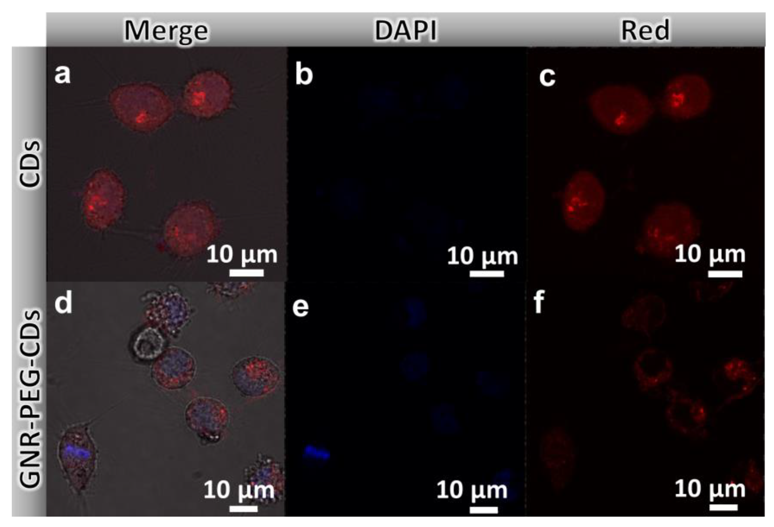 Nanomaterials 08 00706 g004