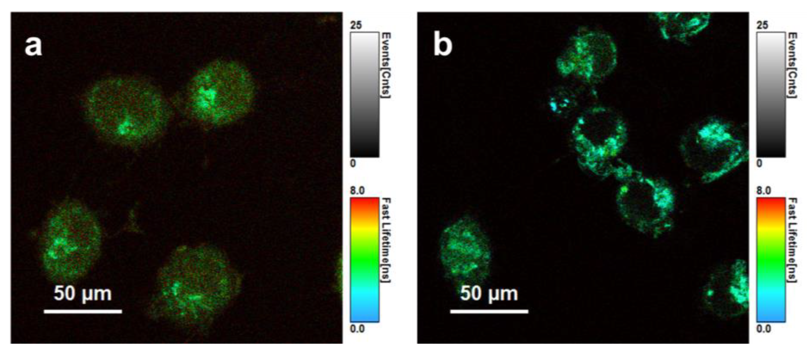 Nanomaterials 08 00706 g005