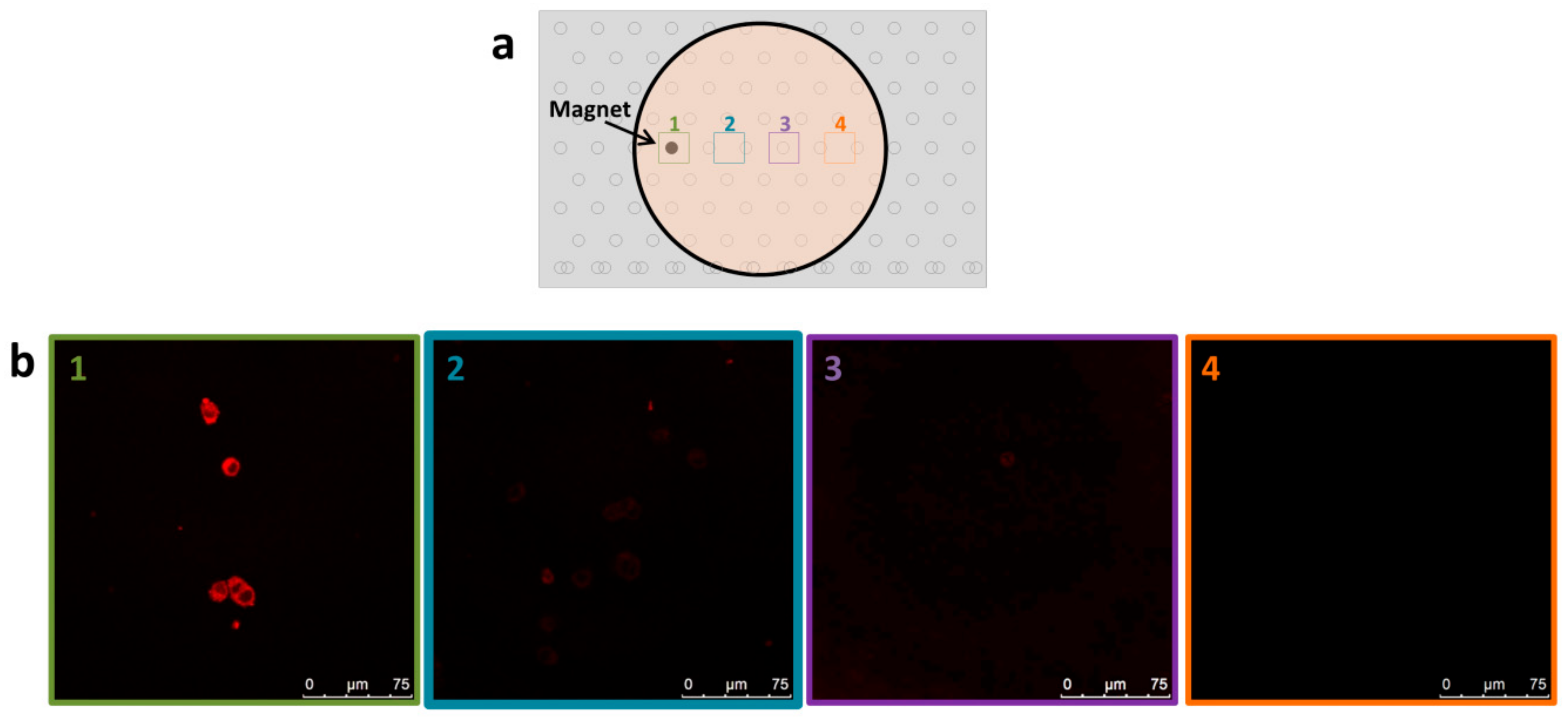 Nanomaterials 08 00707 g005a