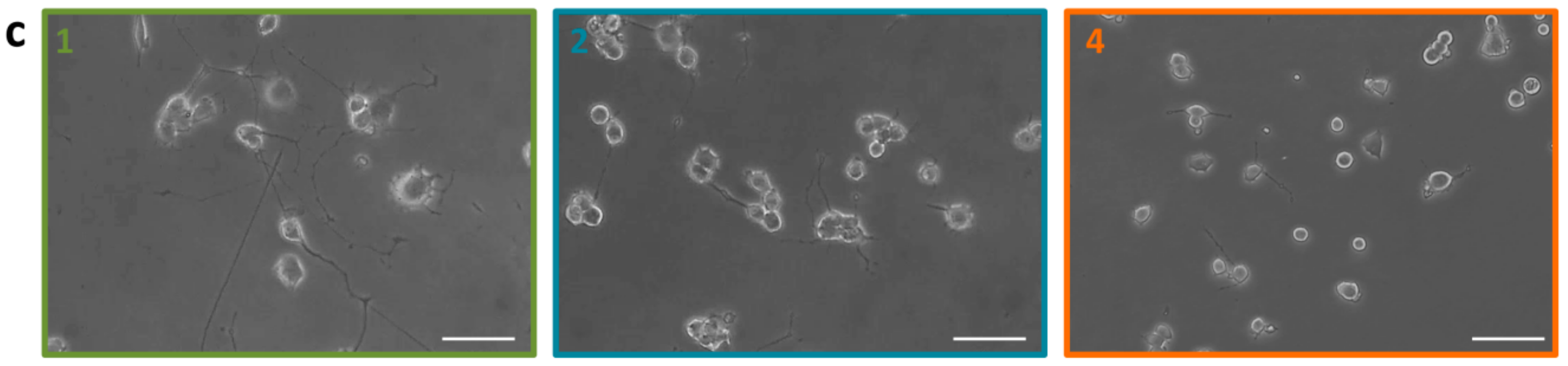 Nanomaterials 08 00707 g005b