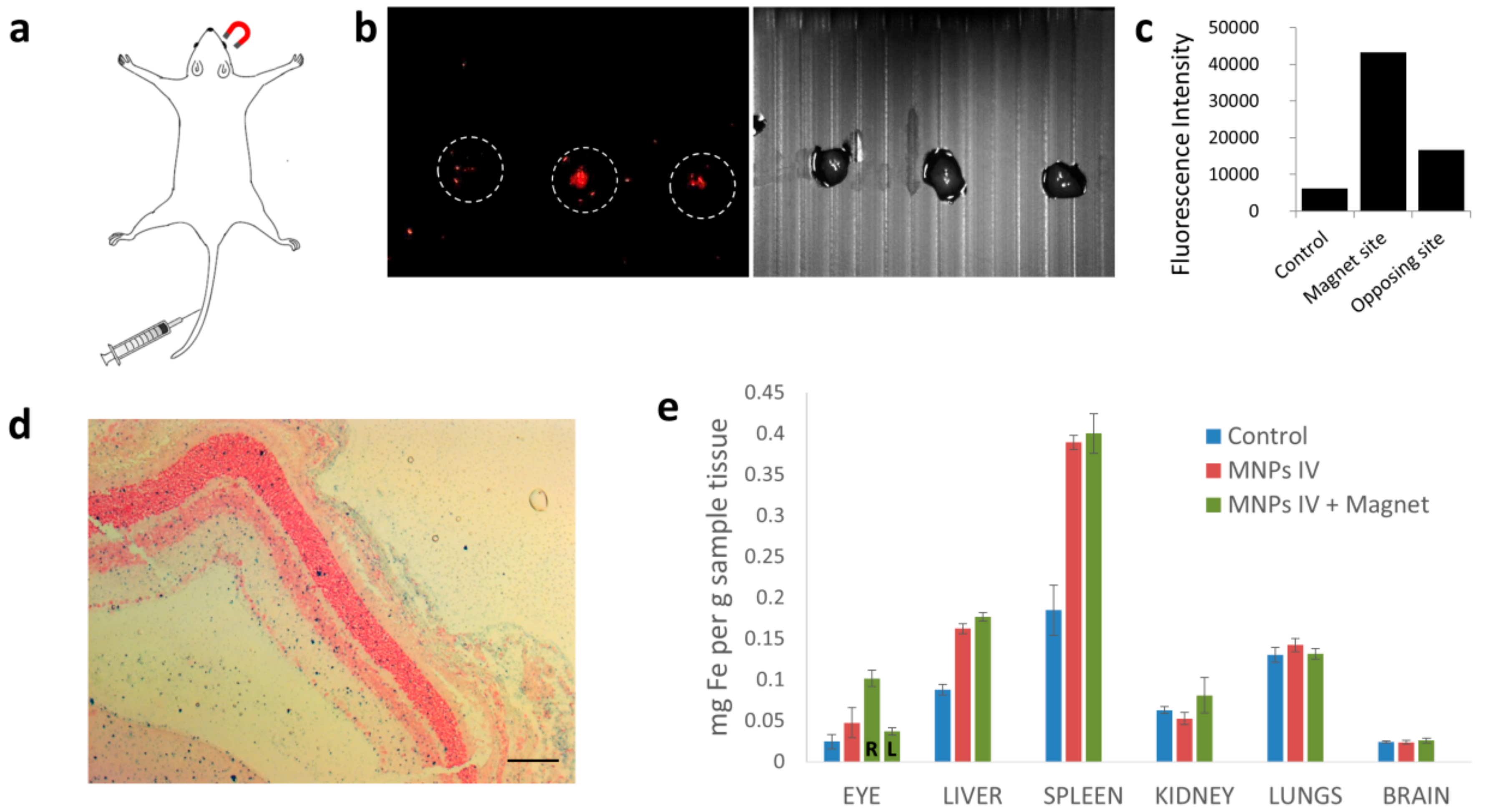 Nanomaterials 08 00707 g007a
