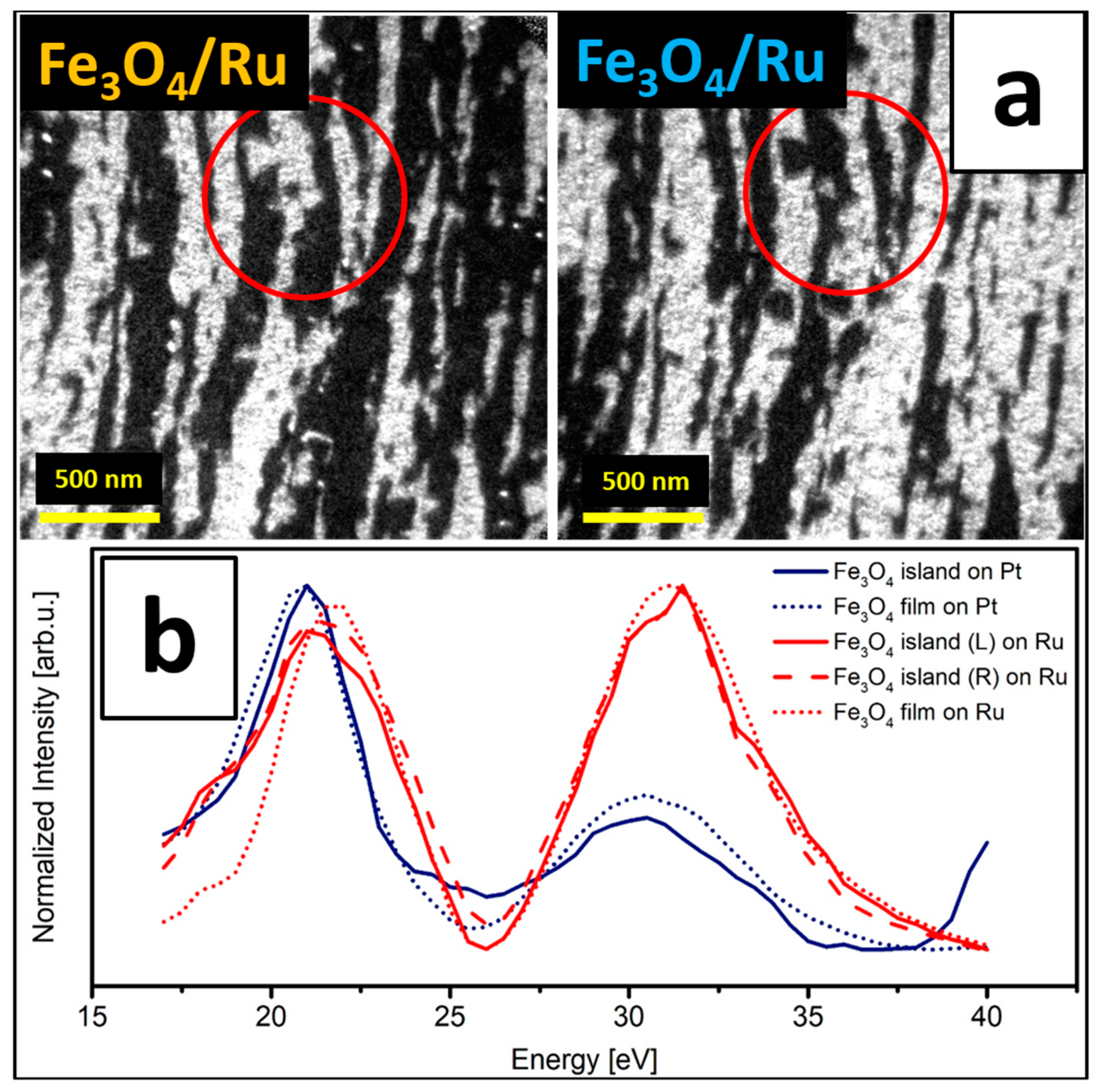 Nanomaterials 08 00719 g007