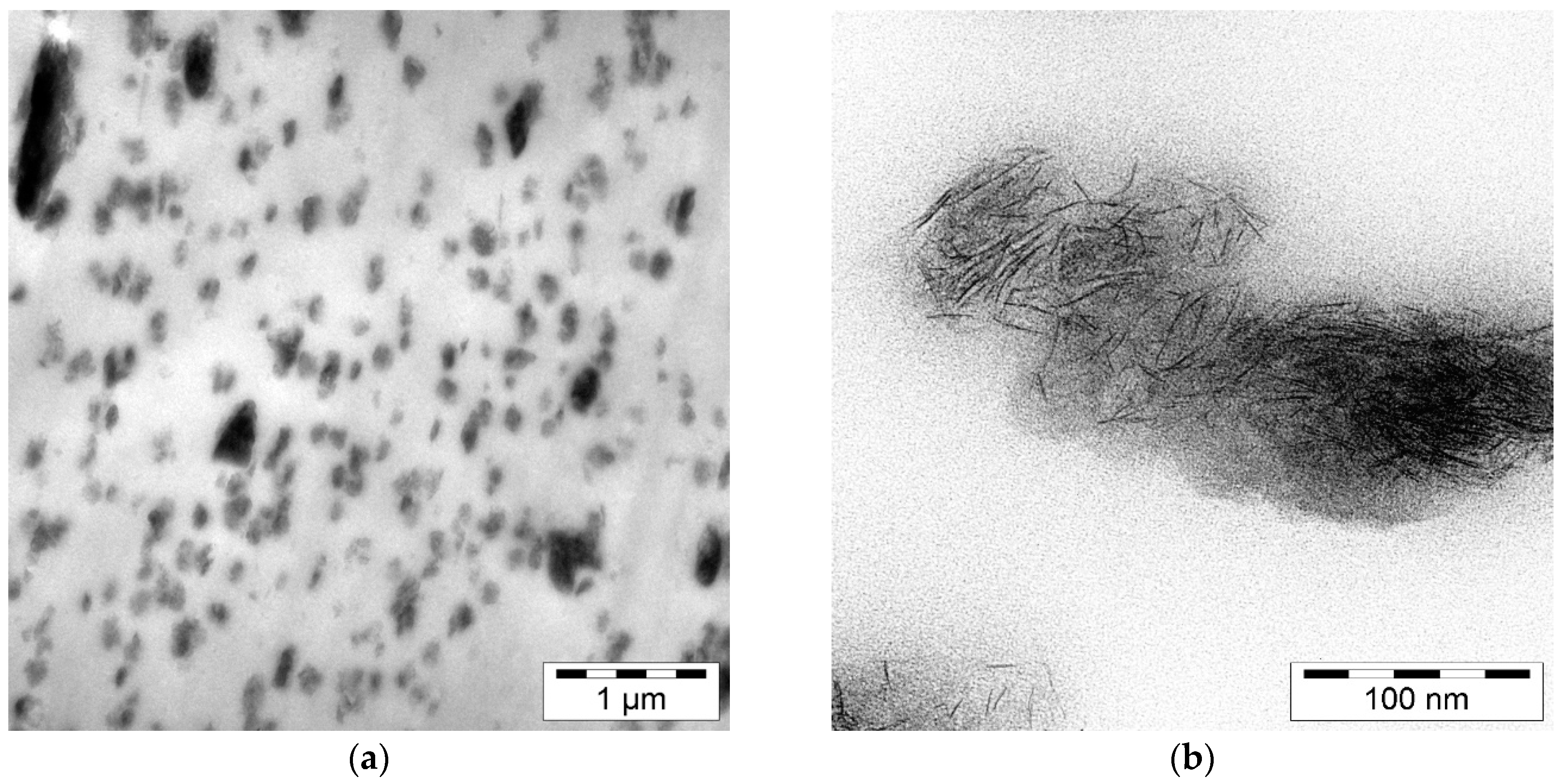 Nanomaterials 08 00723 g001