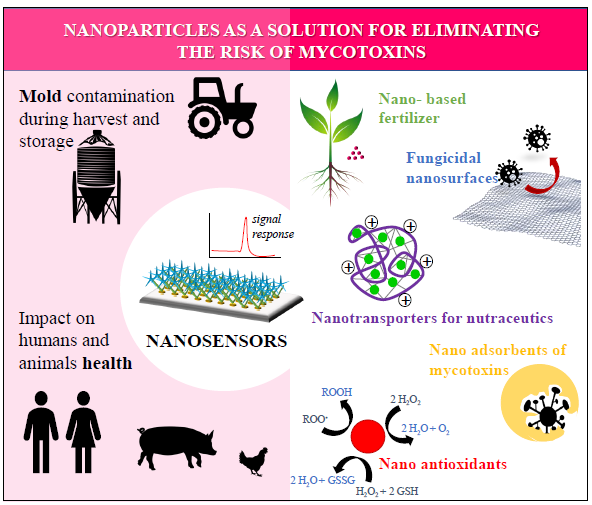 Nanomaterials | Free Full-Text | Nanoparticles as a Solution for 