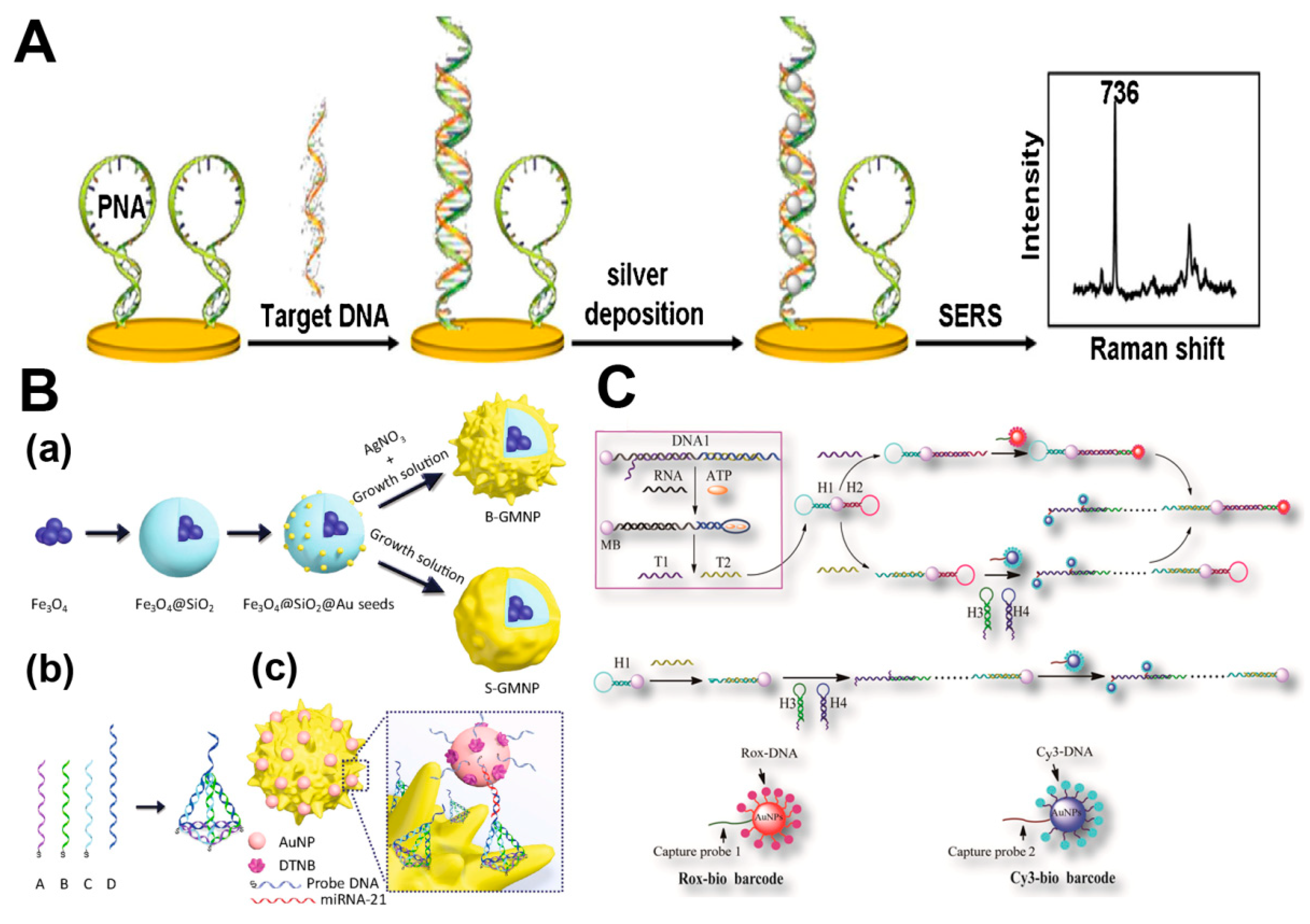 Nanomaterials 08 00730 g003