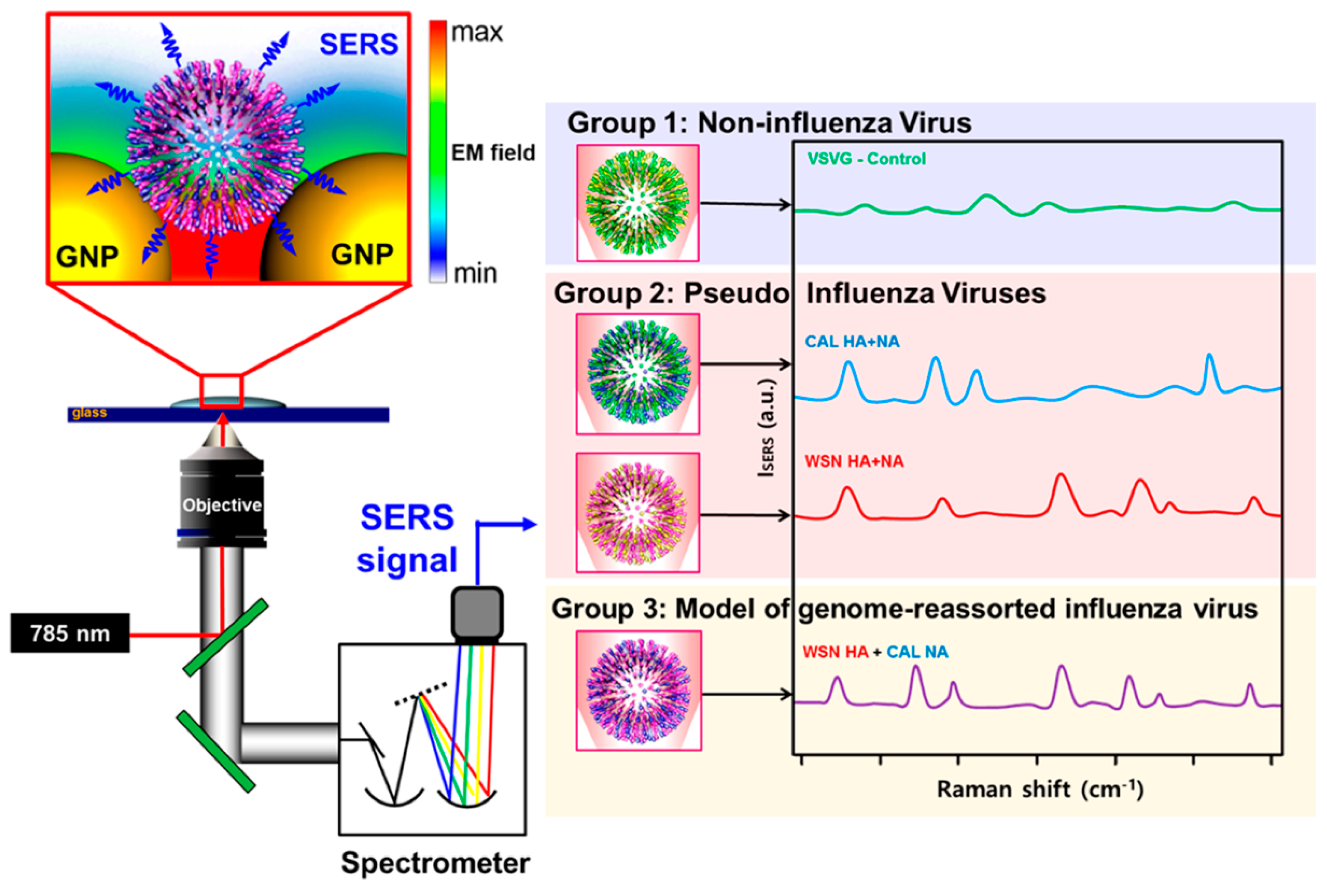 Nanomaterials Free FullText Analysis of Biomolecules Based on the