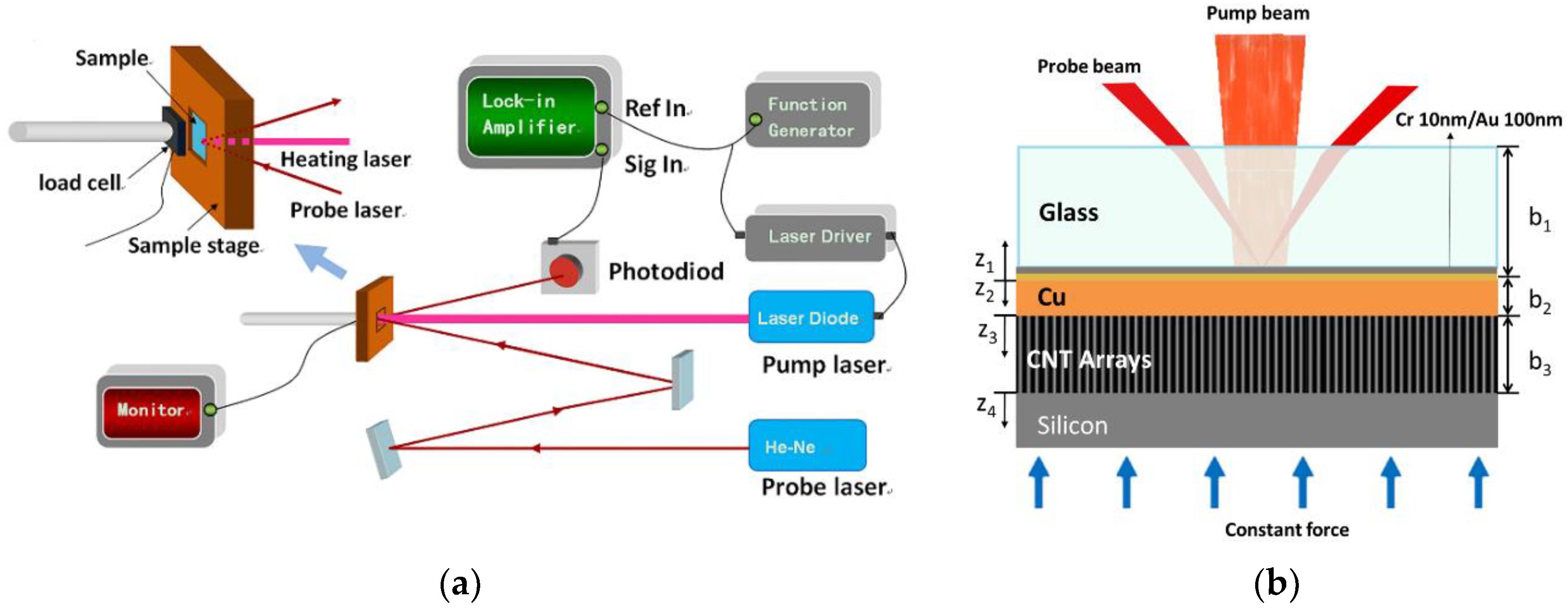 Nanomaterials 08 00732 g002