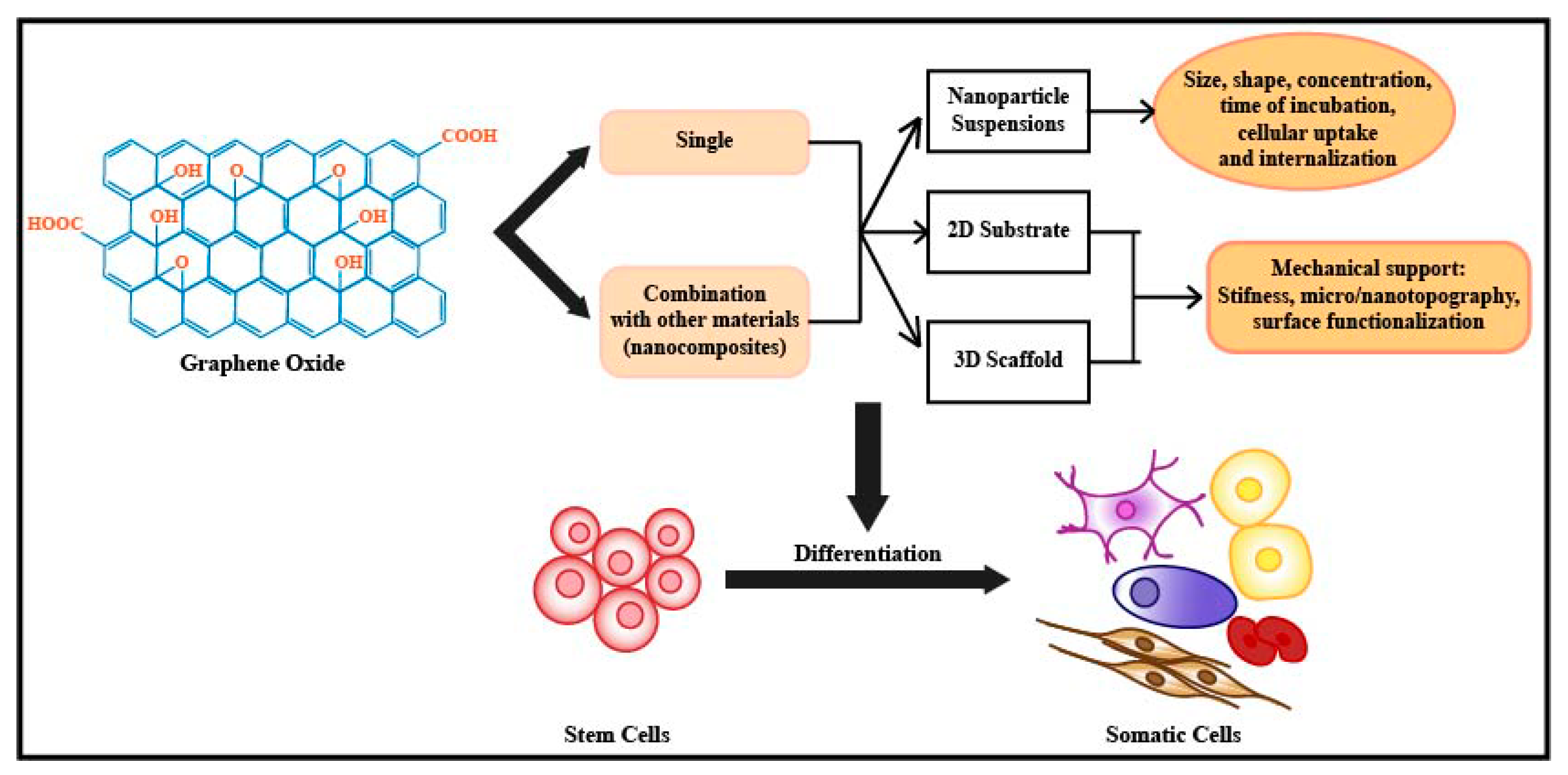 Nanomaterials 08 00736 g001