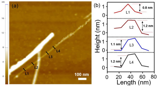Exfoliation and Characterization of V2Se9 Atomic Crystals