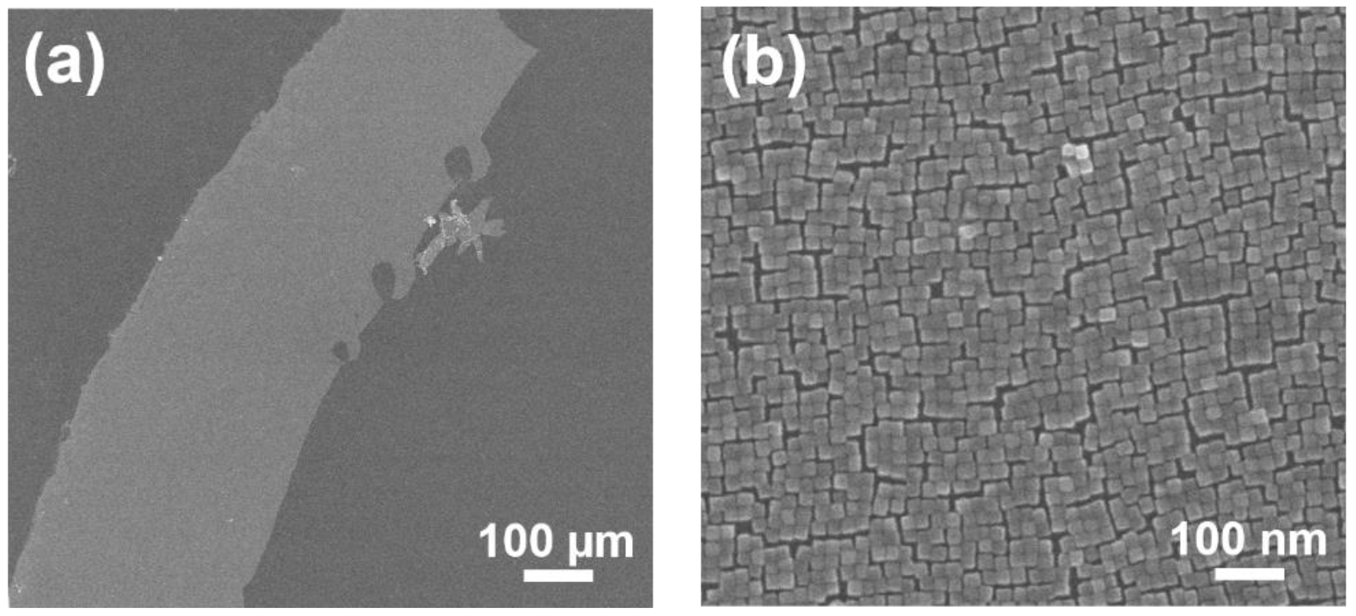 Nanomaterials 08 00739 g002