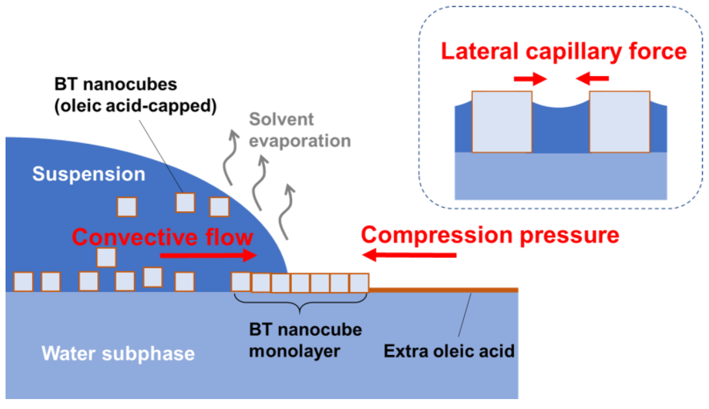 Nanomaterials 08 00739 g007