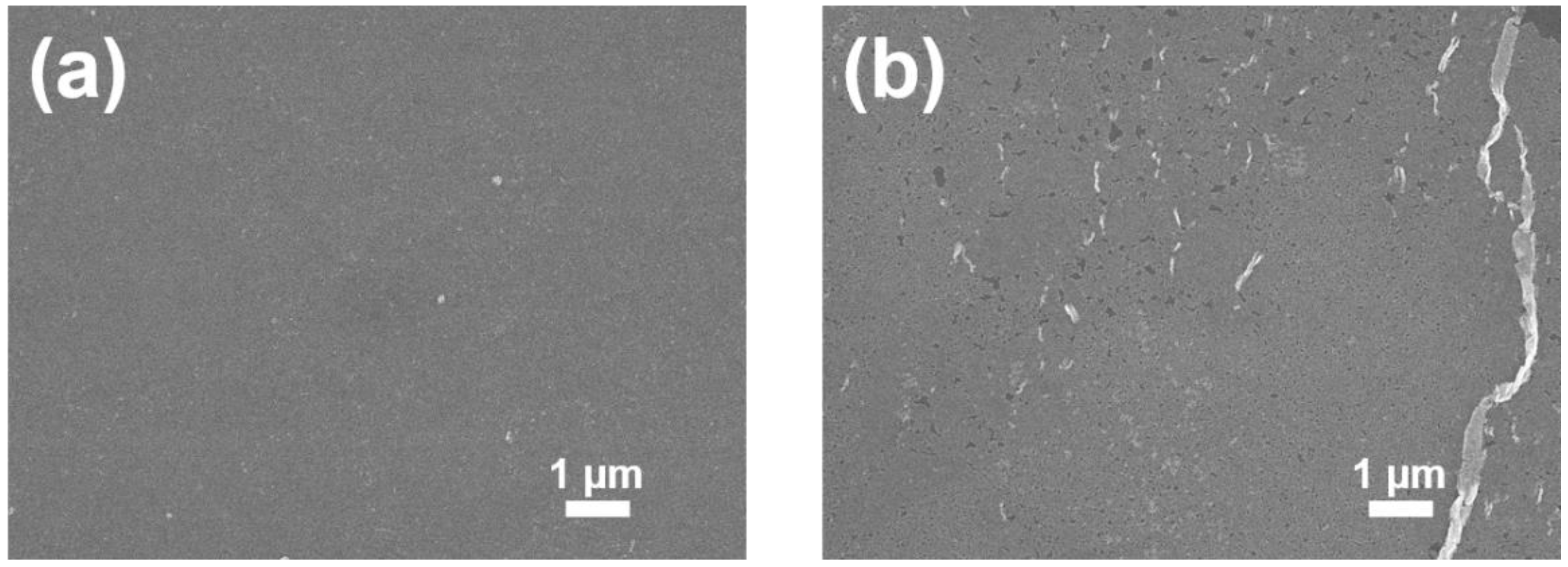 Nanomaterials 08 00739 g008