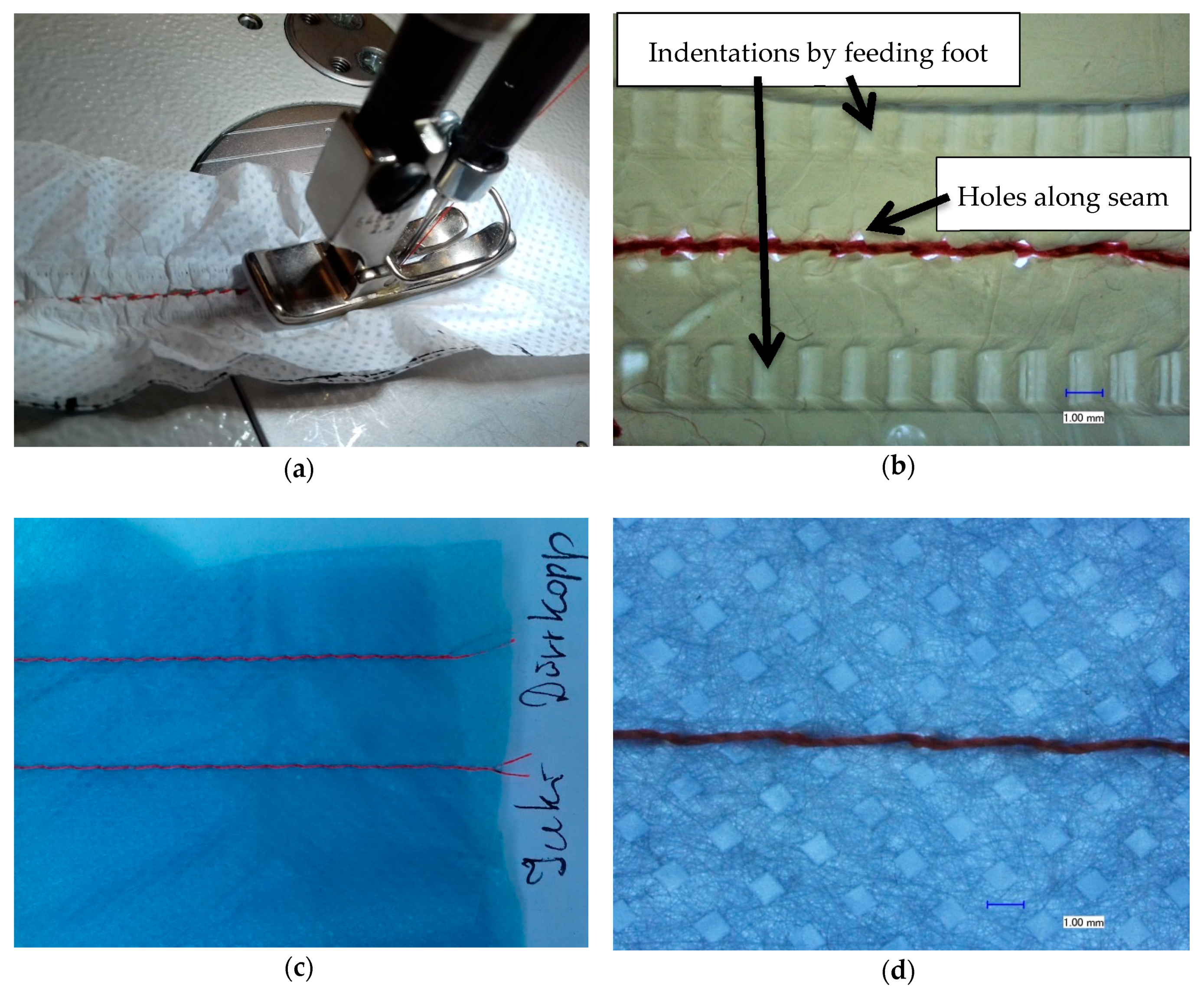 Nanomaterials 08 00746 g002