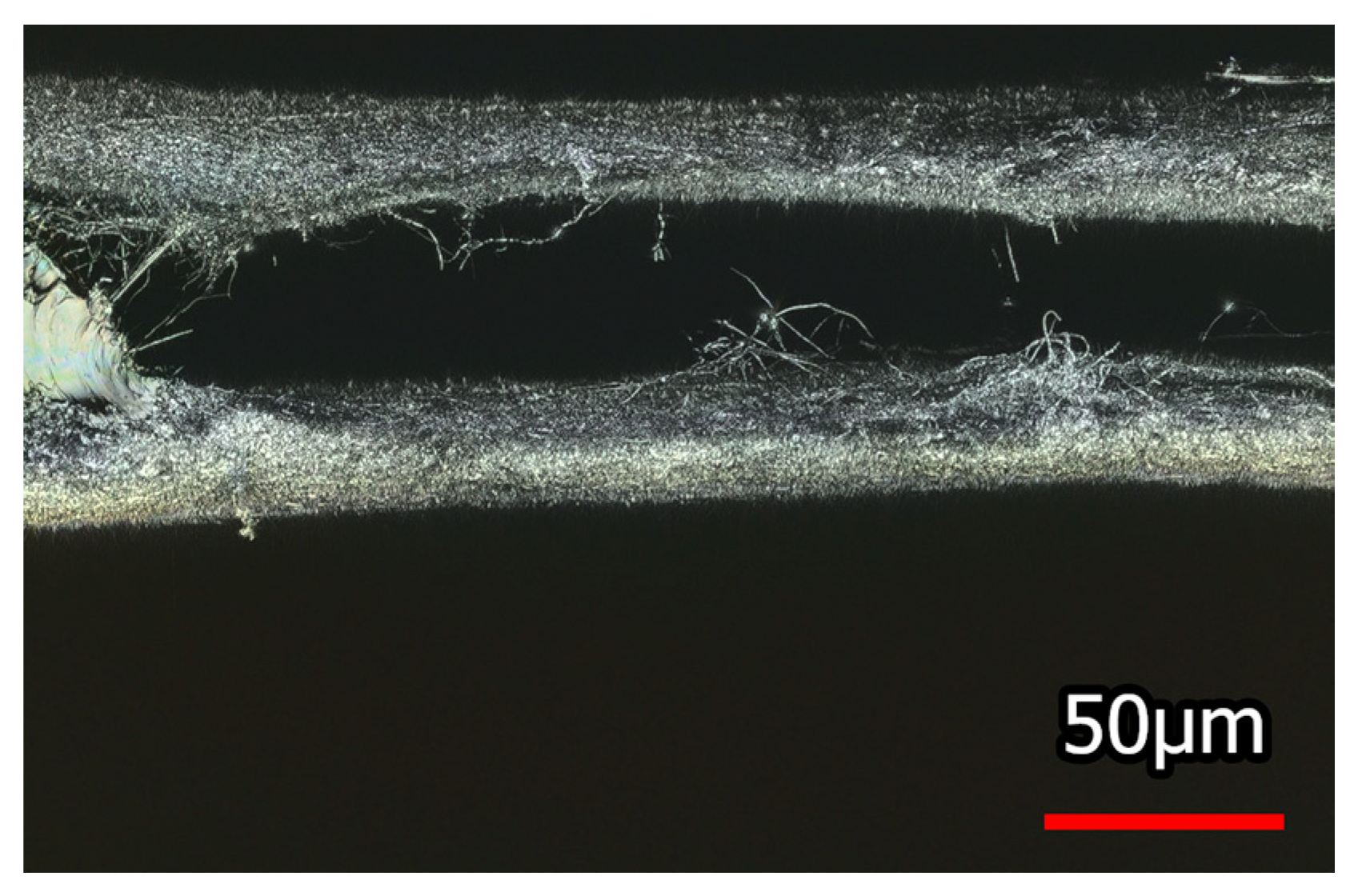Nanomaterials 08 00746 g004