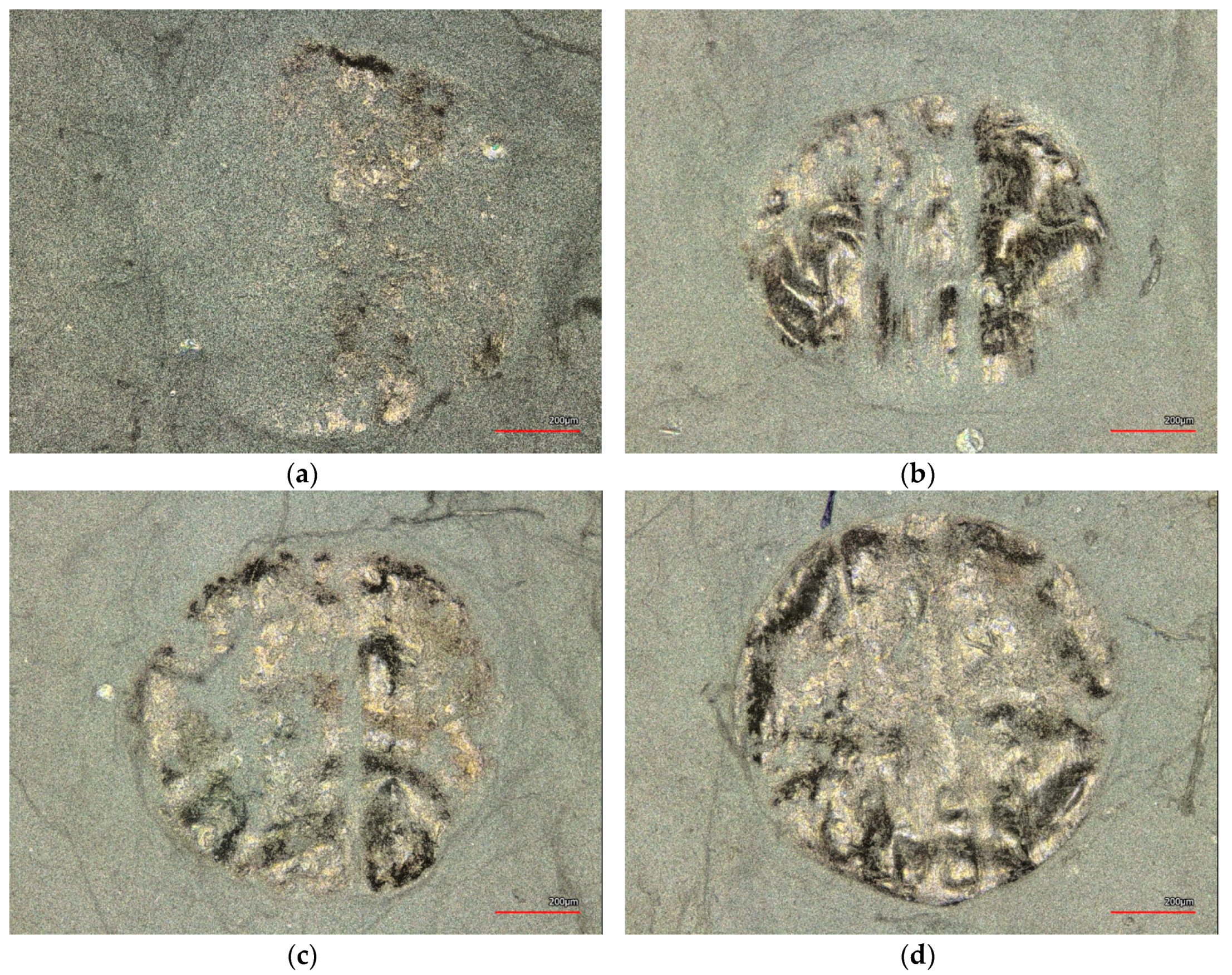 Nanomaterials 08 00746 g006
