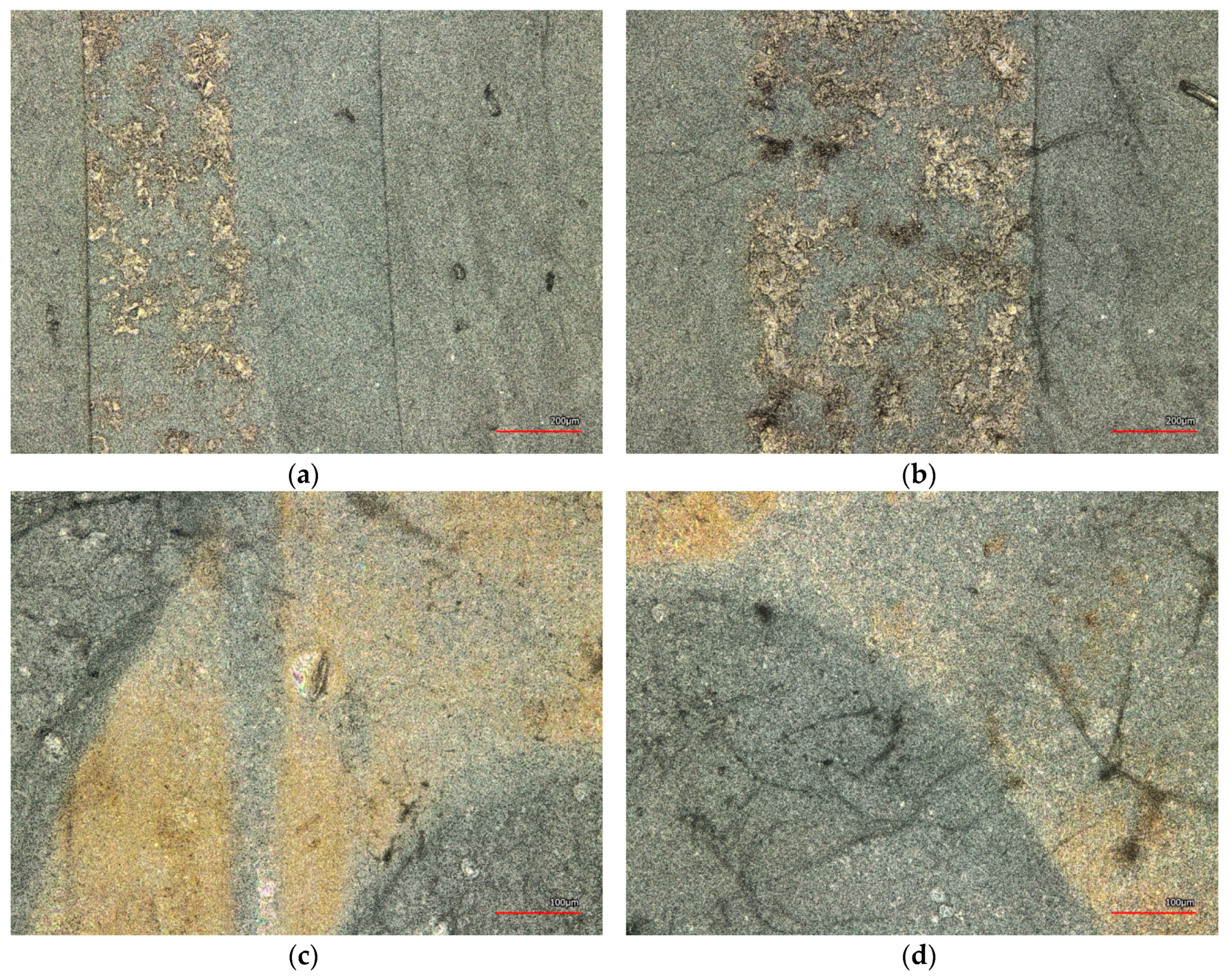 Nanomaterials 08 00746 g007