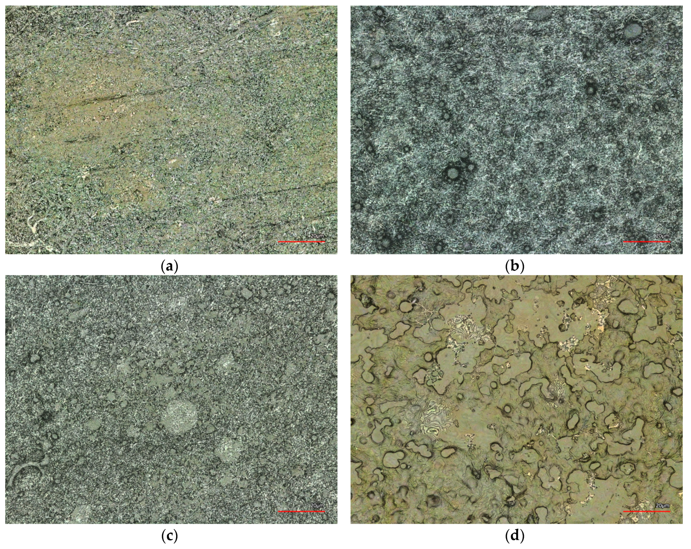 Nanomaterials 08 00746 g008