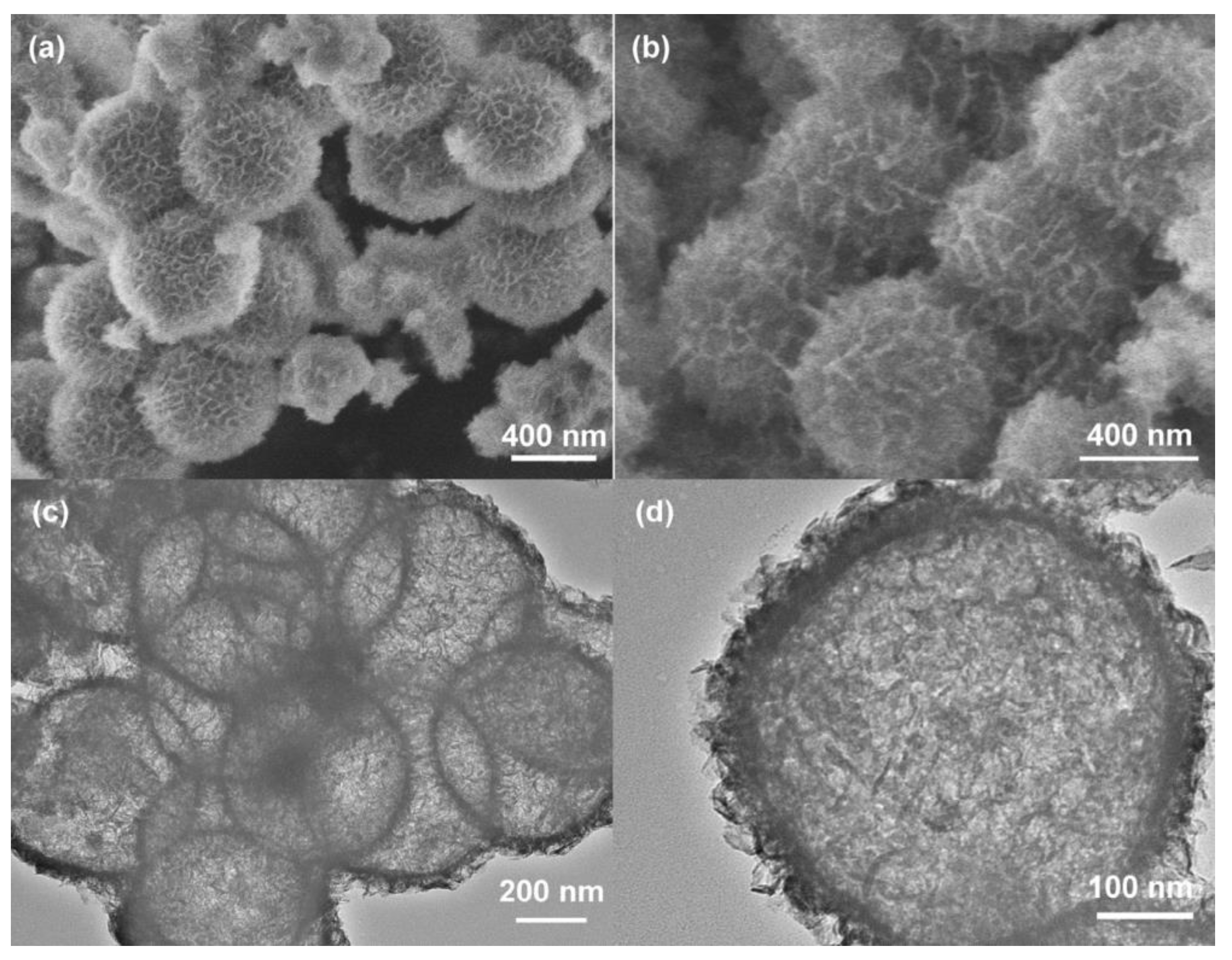 Nanomaterials 08 00747 g002