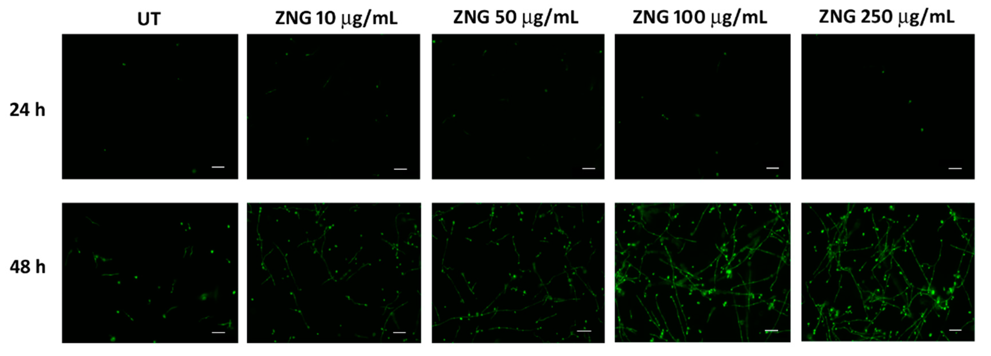 Nanomaterials 08 00752 g005 Nanomaterials 08 00752 g005