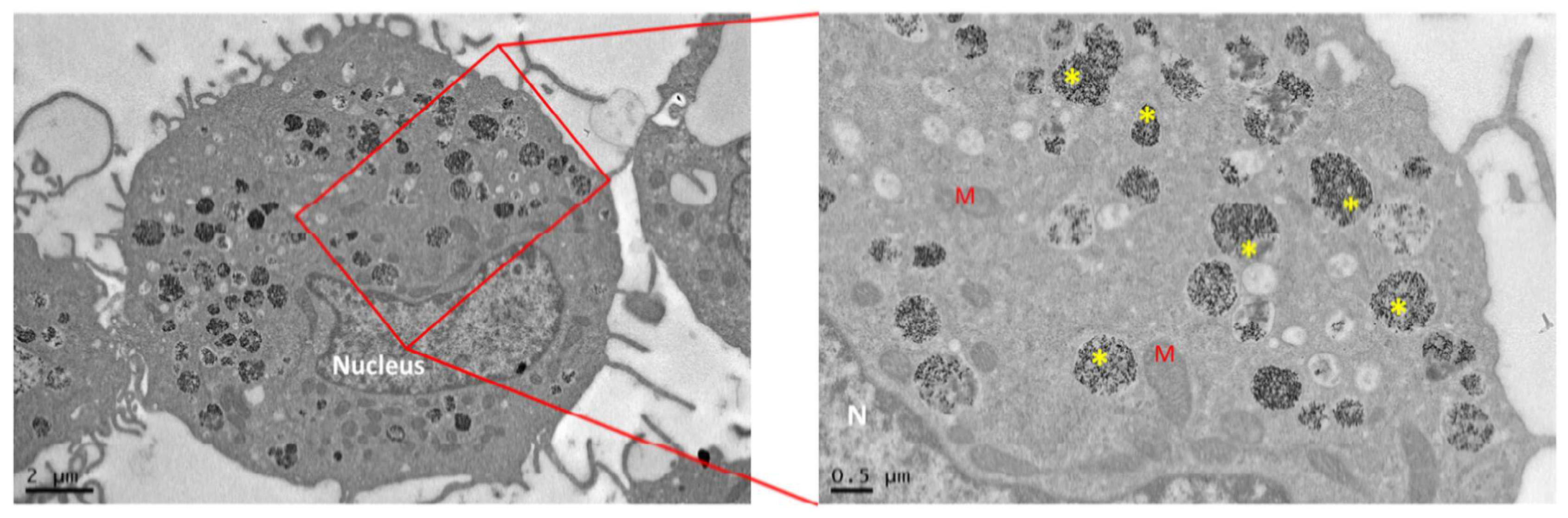 Nanomaterials 08 00753 g001 Nanomaterials 08 00753 g001