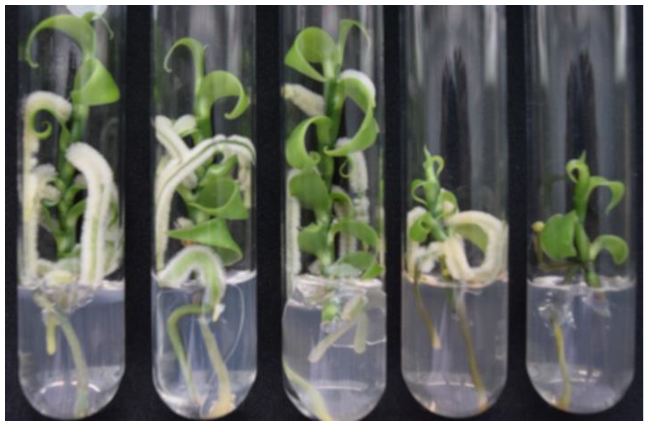 Nanomaterials 08 00754 g003