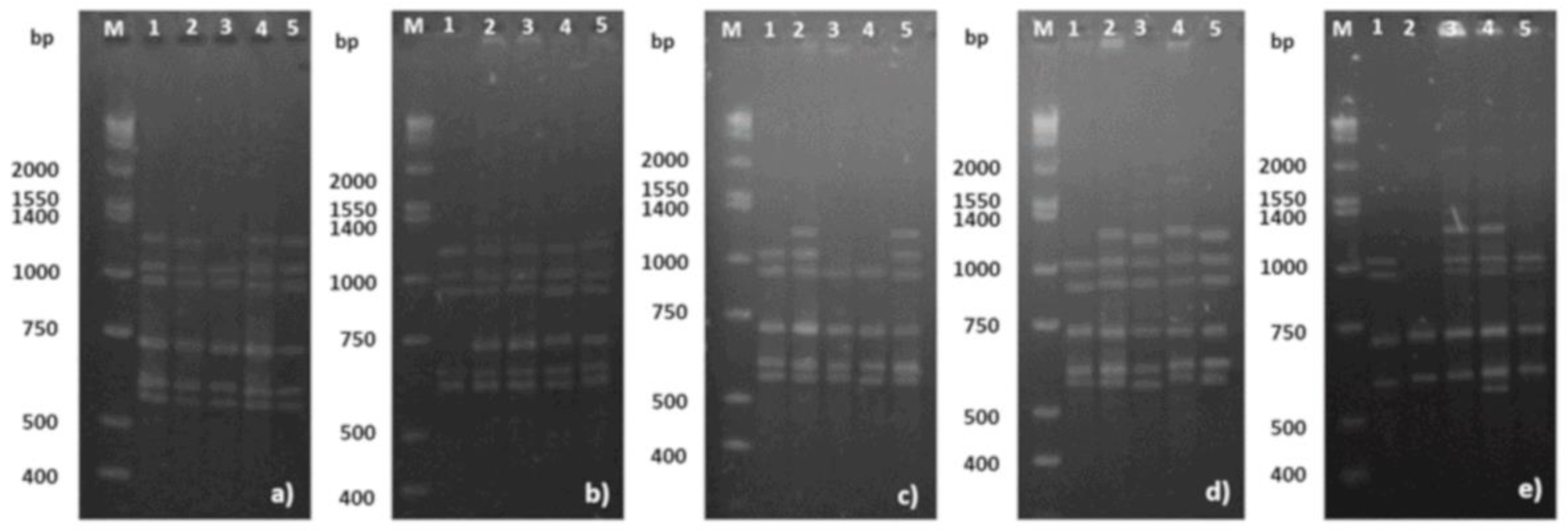 Nanomaterials 08 00754 g005