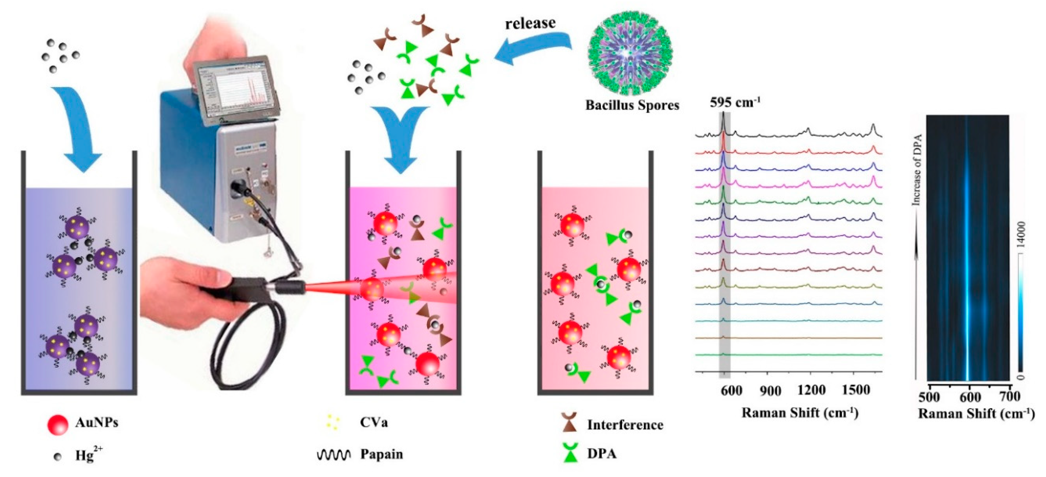 Nanomaterials 08 00757 g002