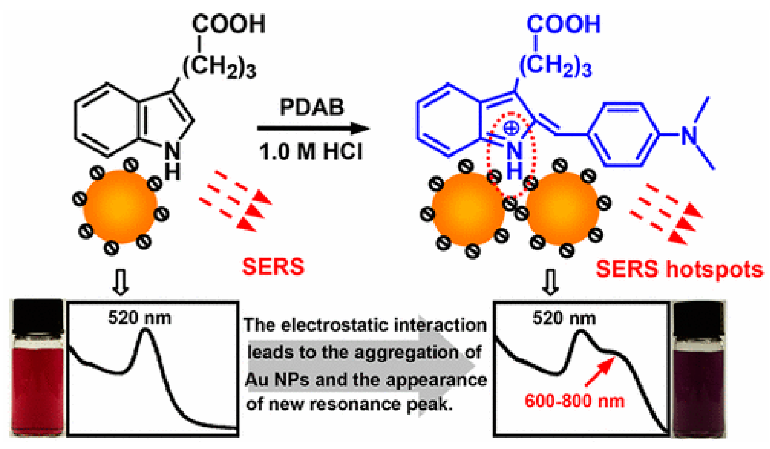 Nanomaterials 08 00757 g003