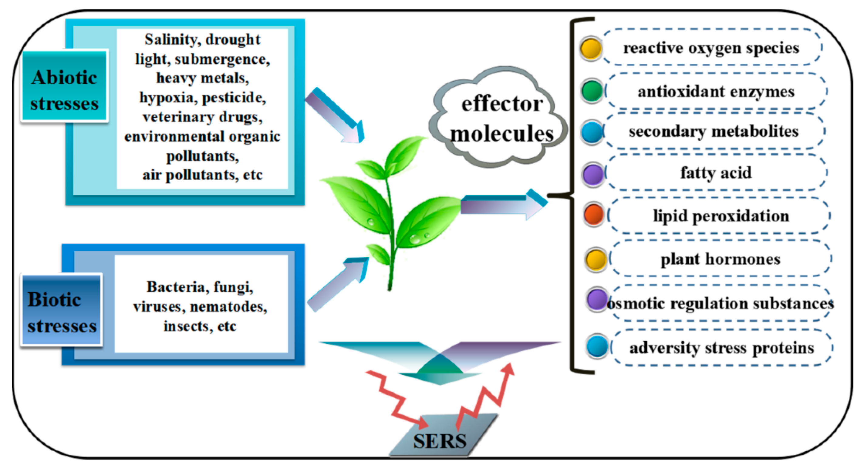 Nanomaterials 08 00757 sch001