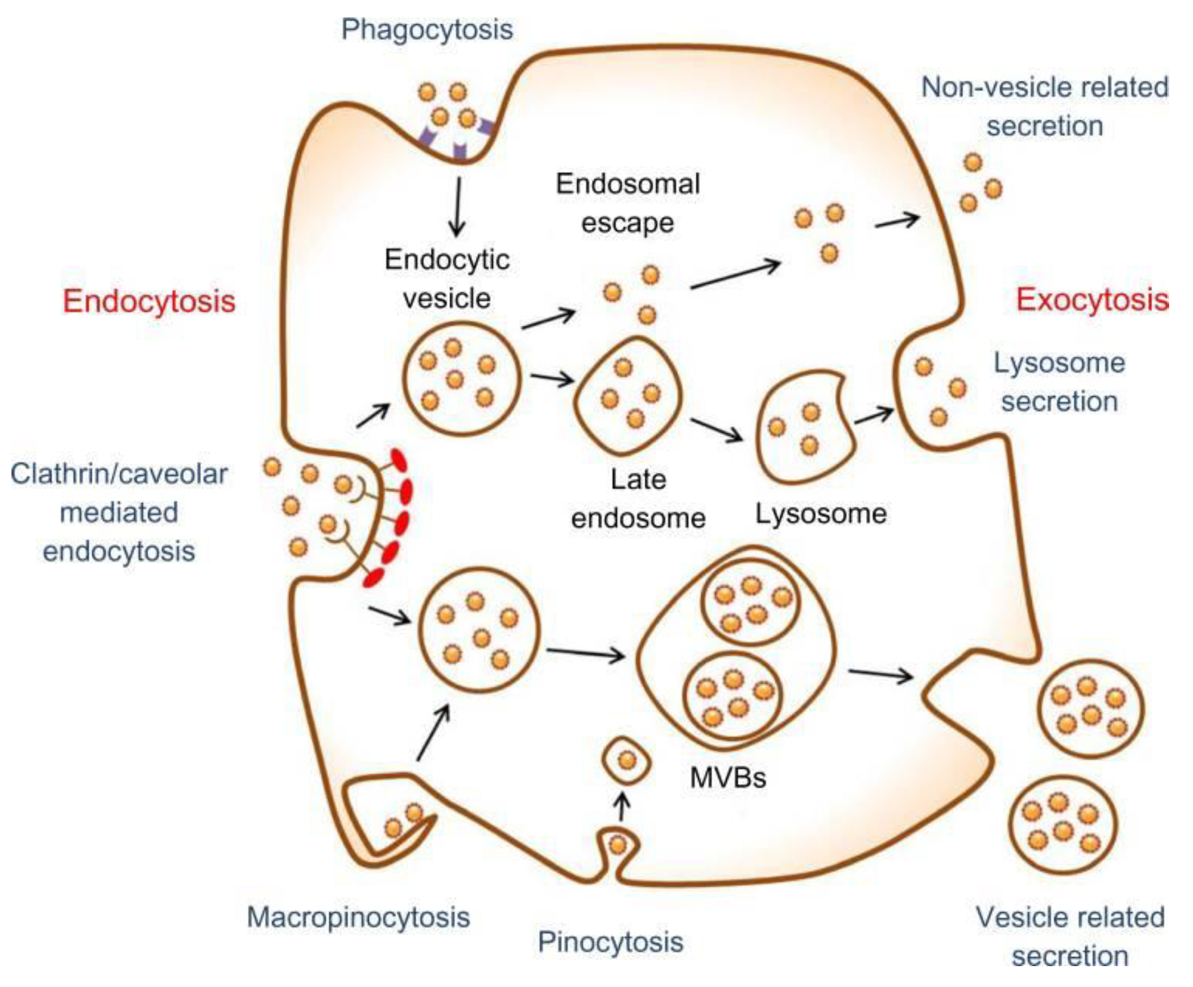 Nanomaterials 08 00761 g002 Nanomaterials 08 00761 g002