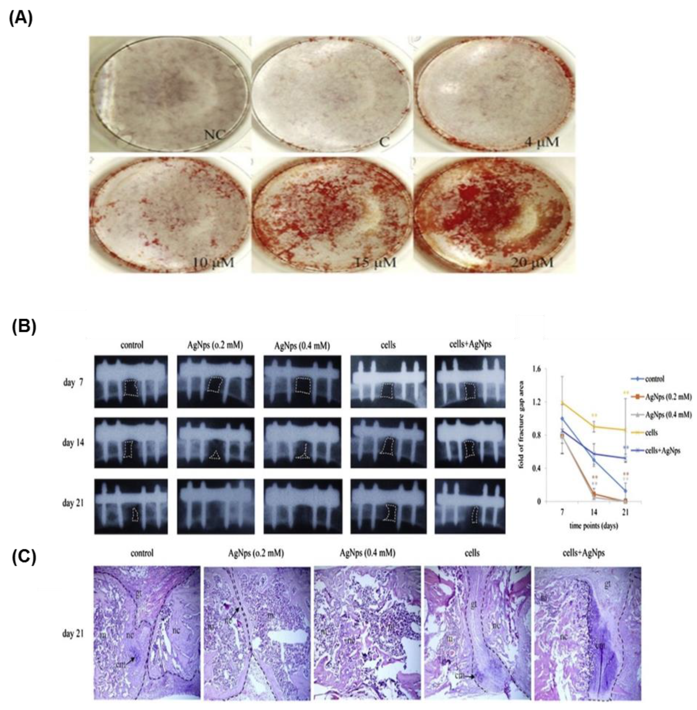 Nanomaterials 08 00761 g003 Nanomaterials 08 00761 g003
