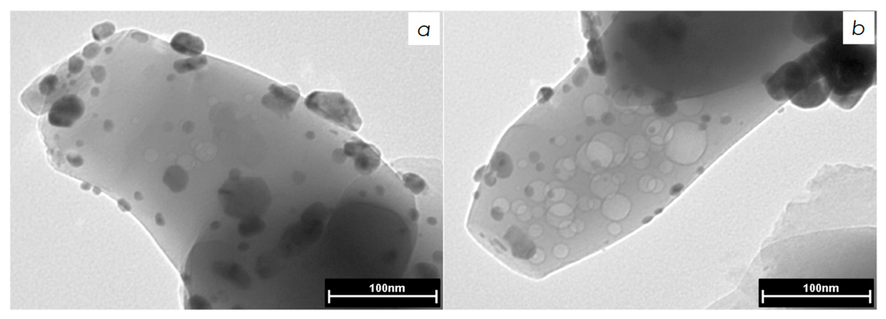 Nanomaterials 08 00769 g003