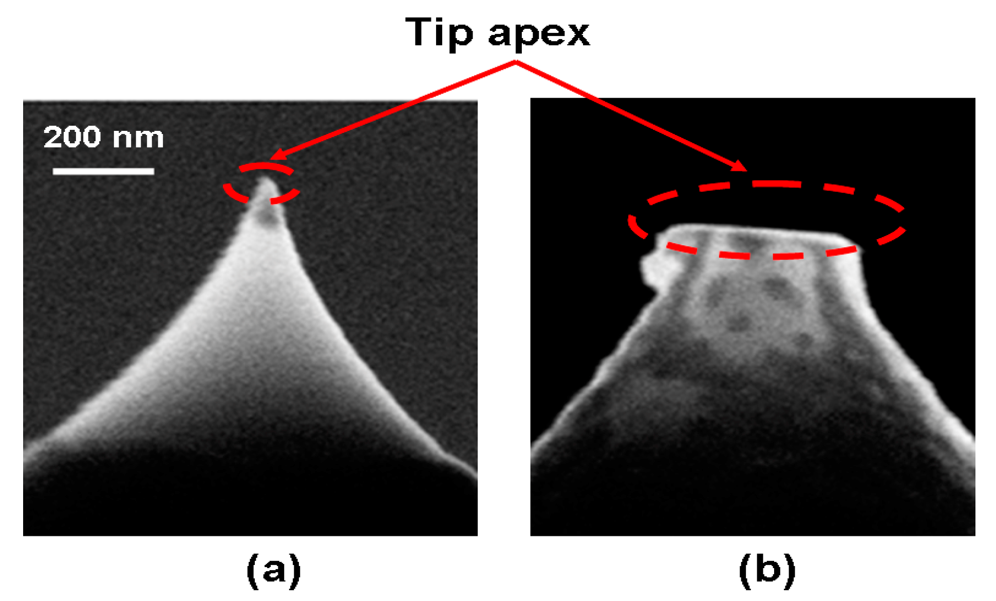 Nanomaterials 08 00772 g005
