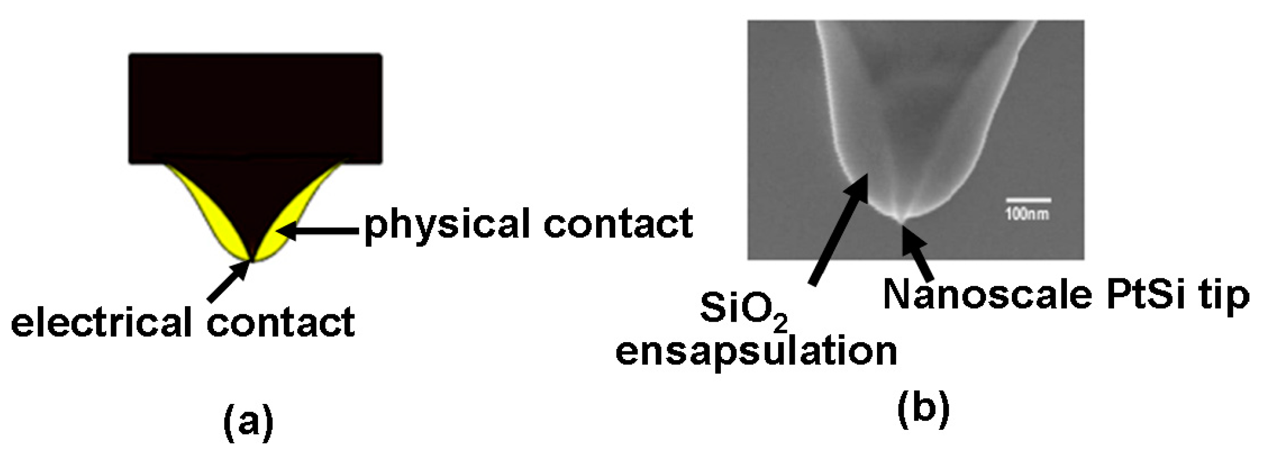 Nanomaterials 08 00772 g006