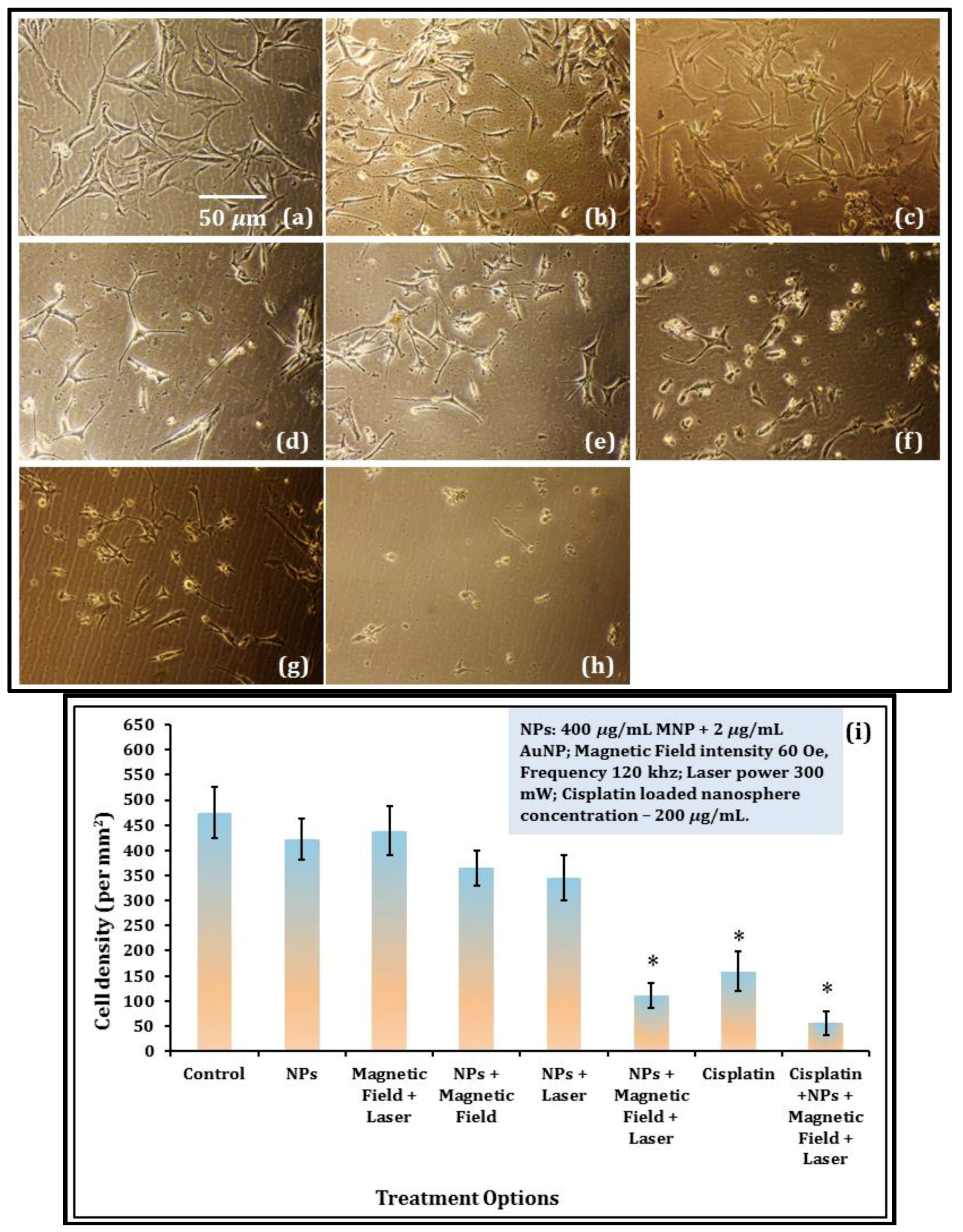Nanomaterials 08 00774 g004