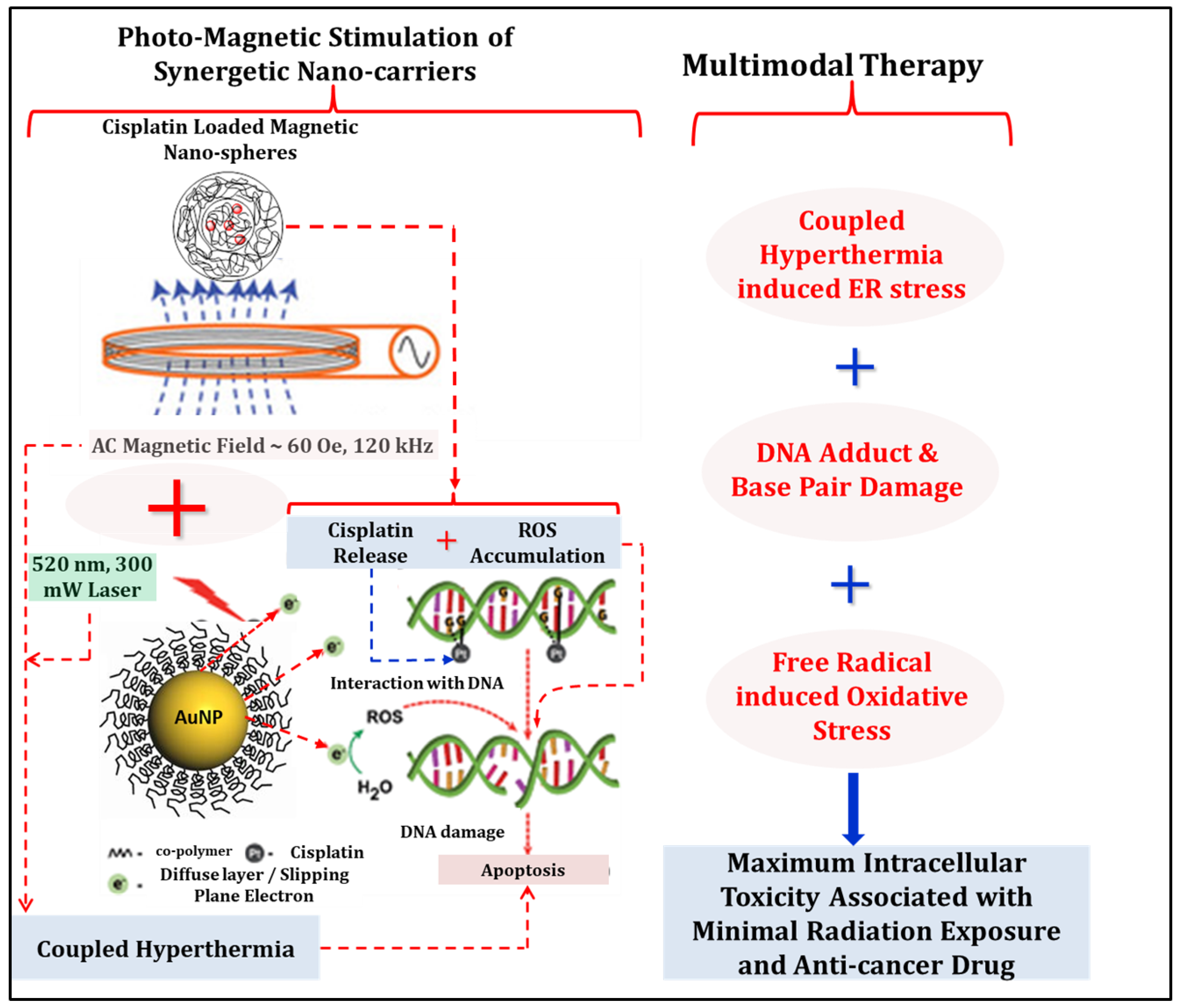 Nanomaterials 08 00774 g007