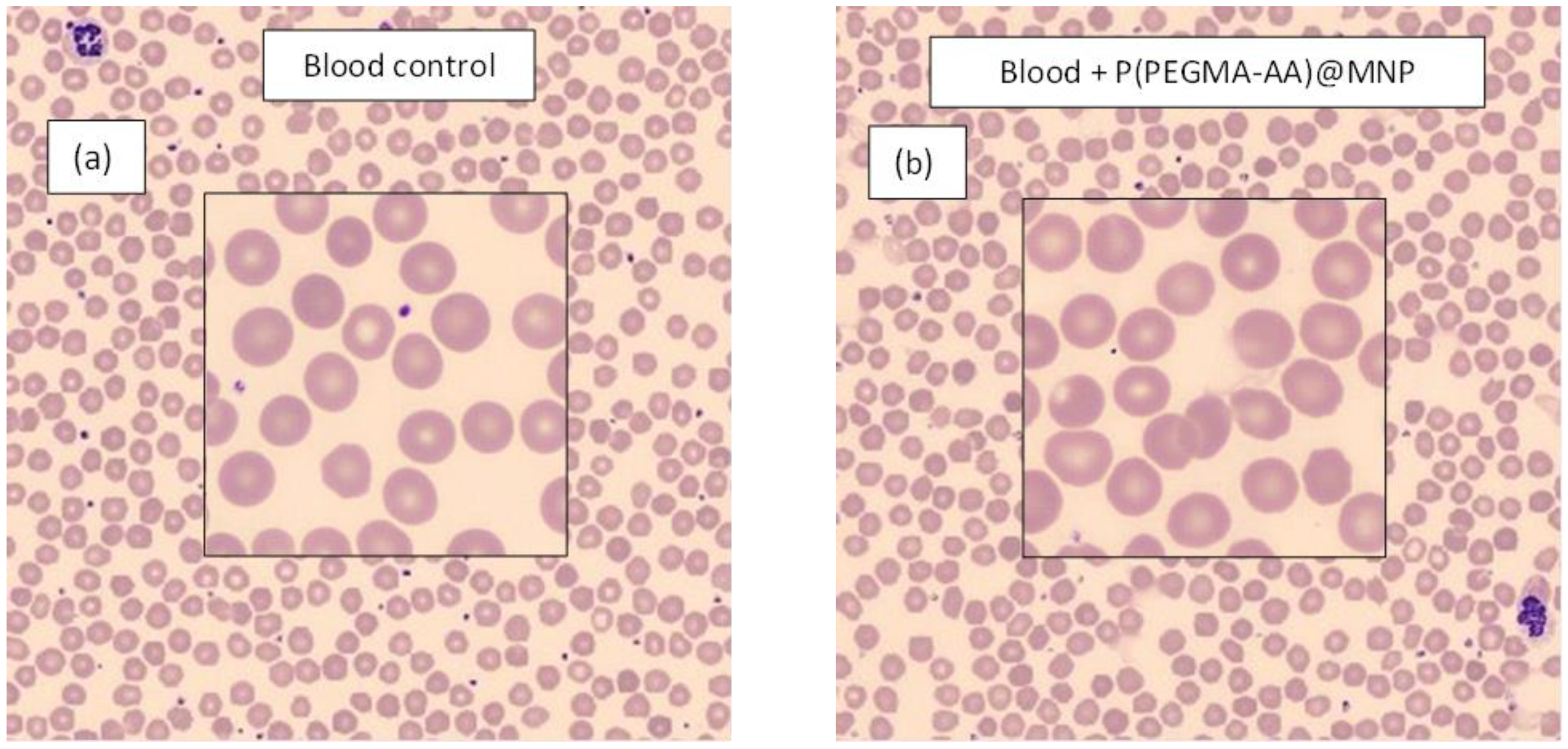 Nanomaterials 08 00776 g008