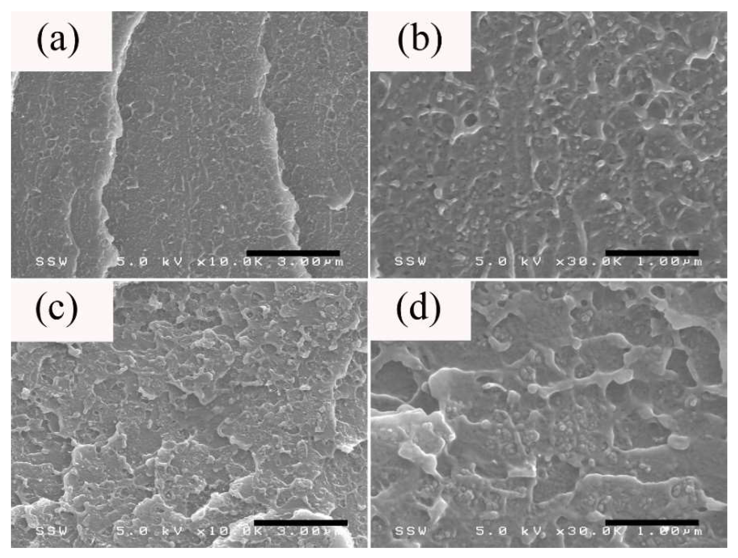 Nanomaterials 08 00779 g005 Nanomaterials 08 00779 g005