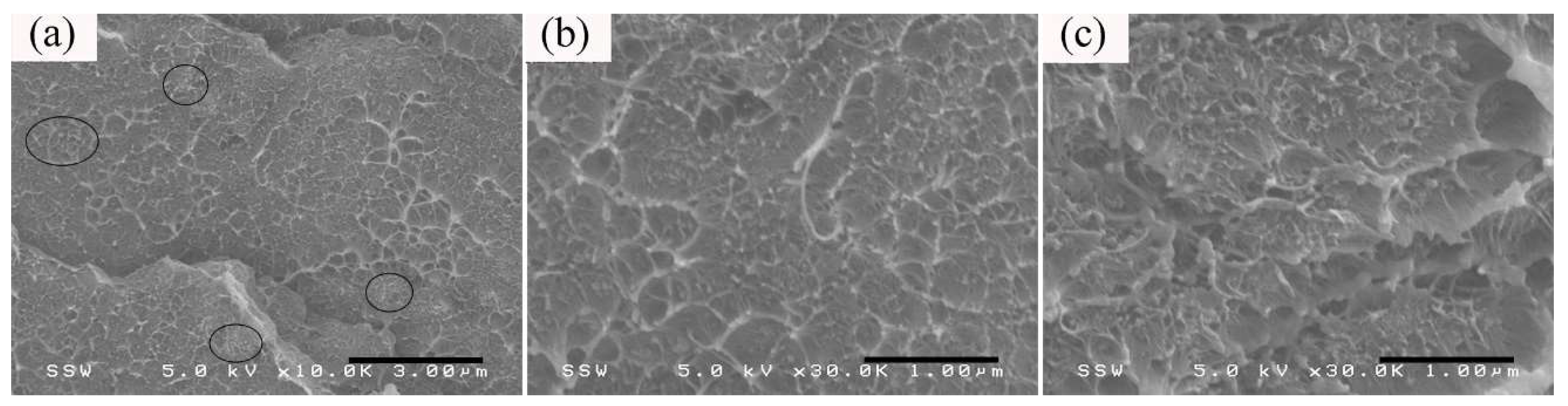 Nanomaterials 08 00779 g007 Nanomaterials 08 00779 g007