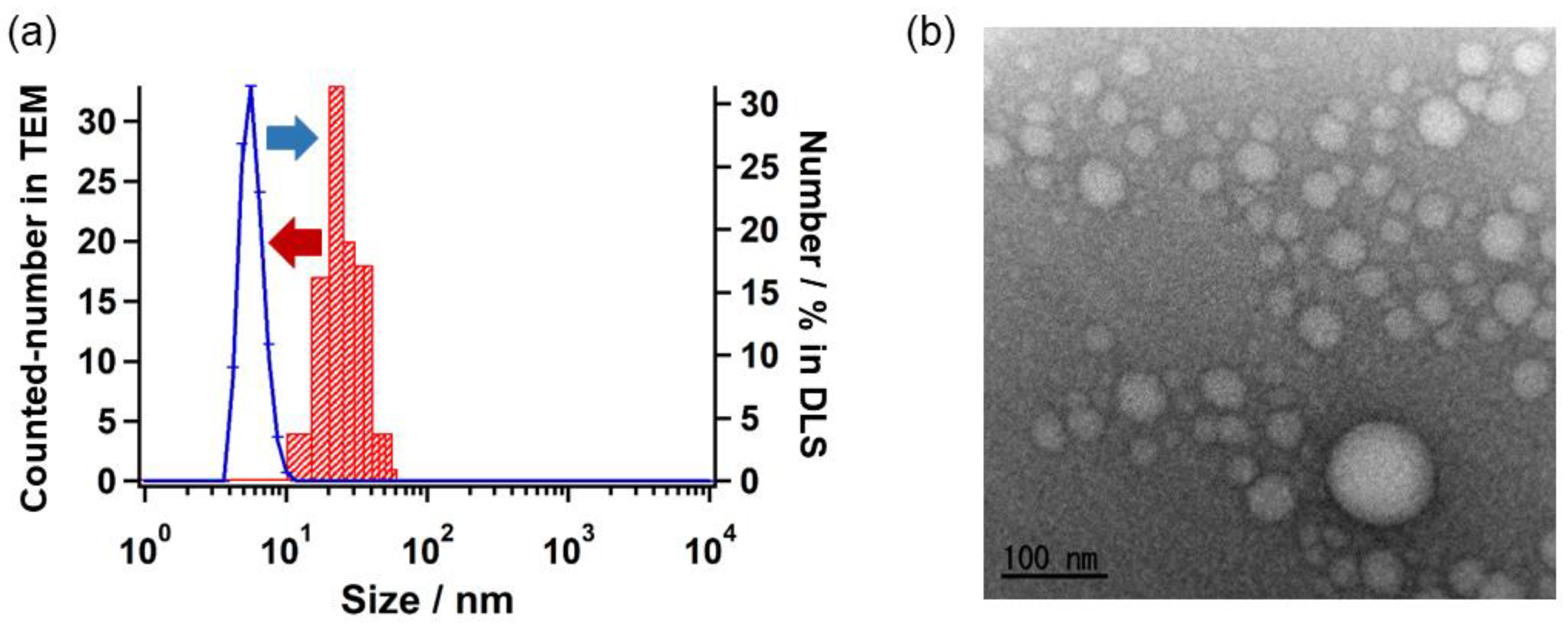 Nanomaterials 08 00782 g001