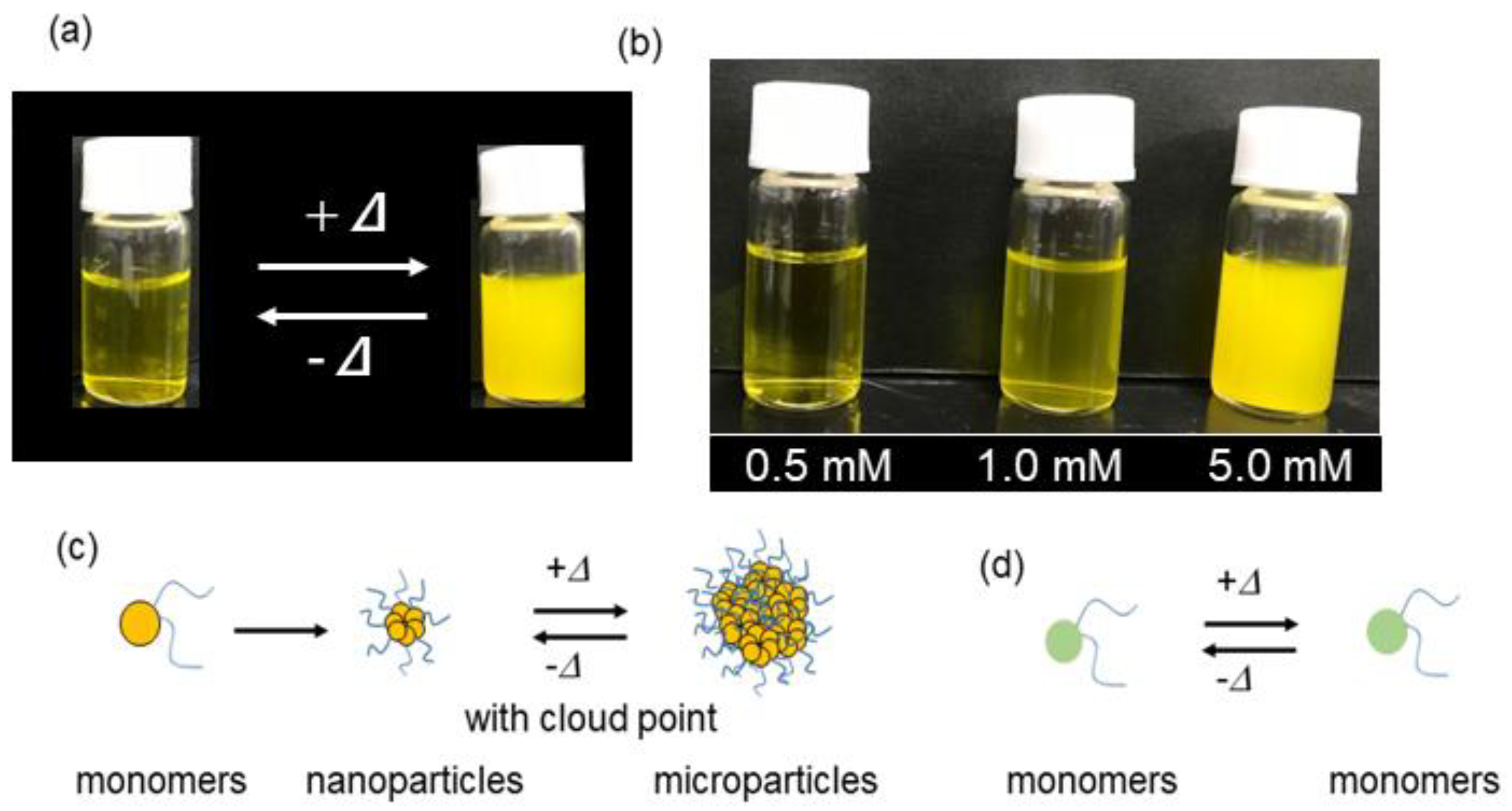 Nanomaterials 08 00782 g003