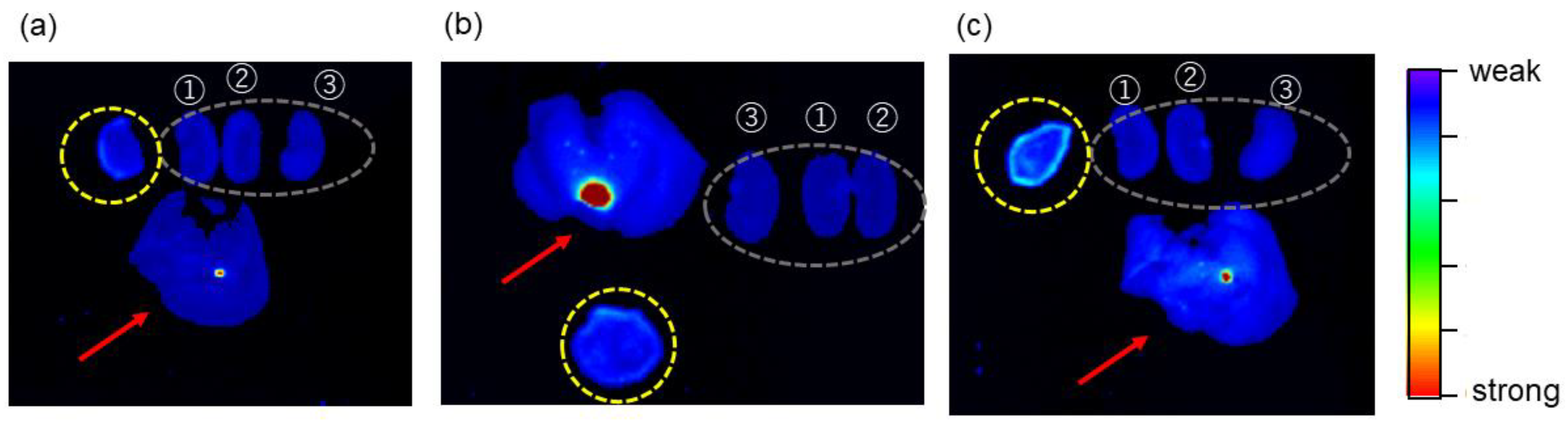 Nanomaterials 08 00782 g005