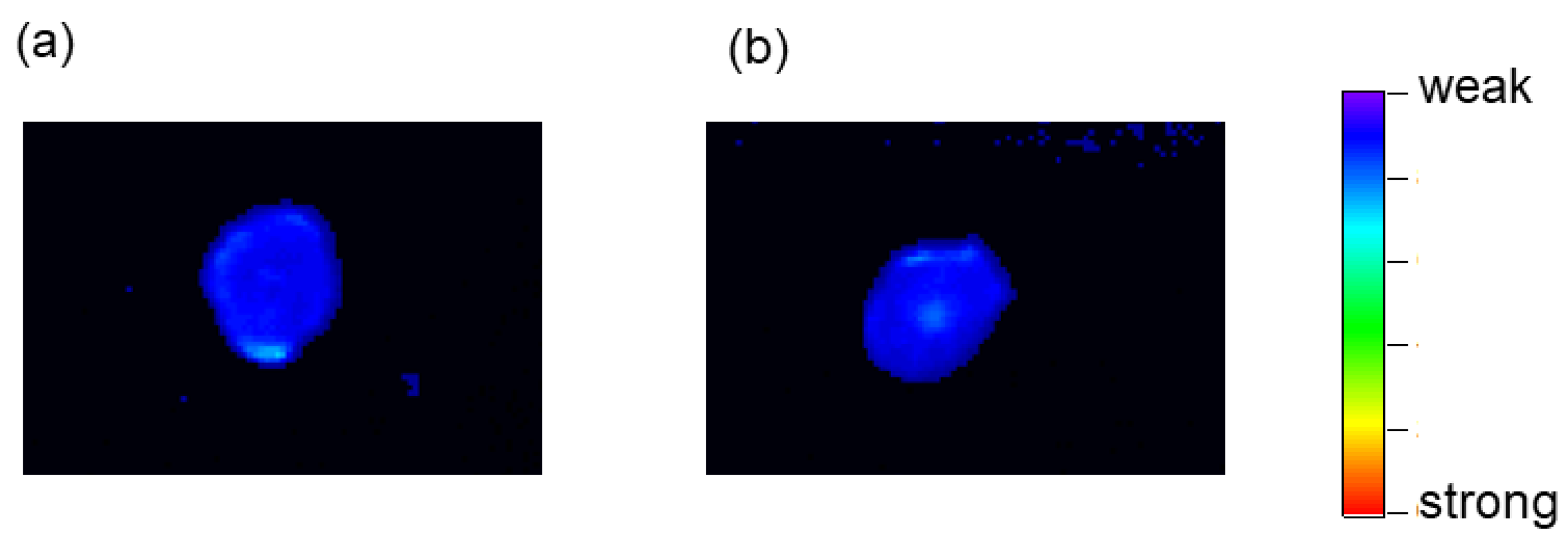 Nanomaterials 08 00782 g006